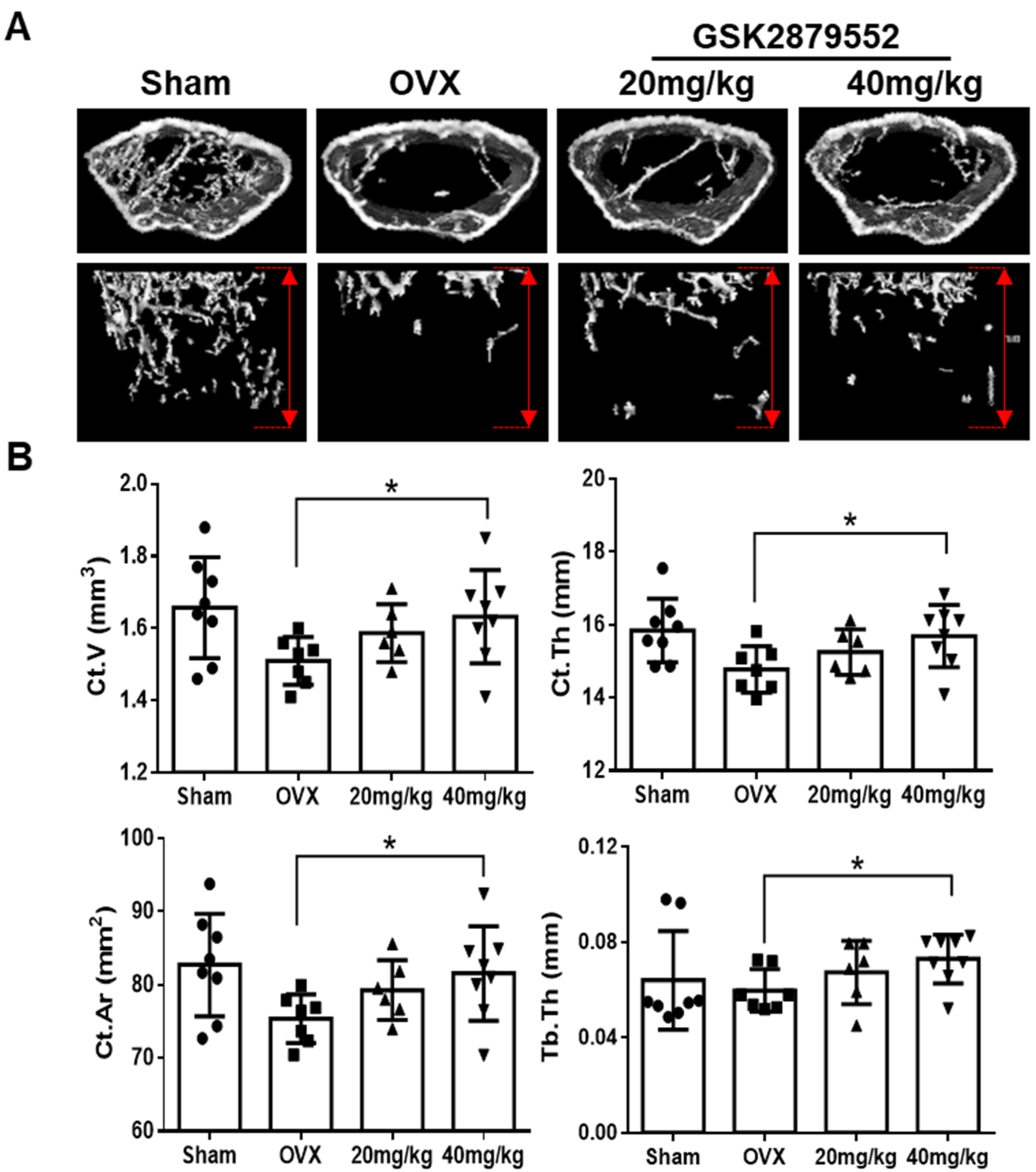 Ijms 24 03605 g007 550