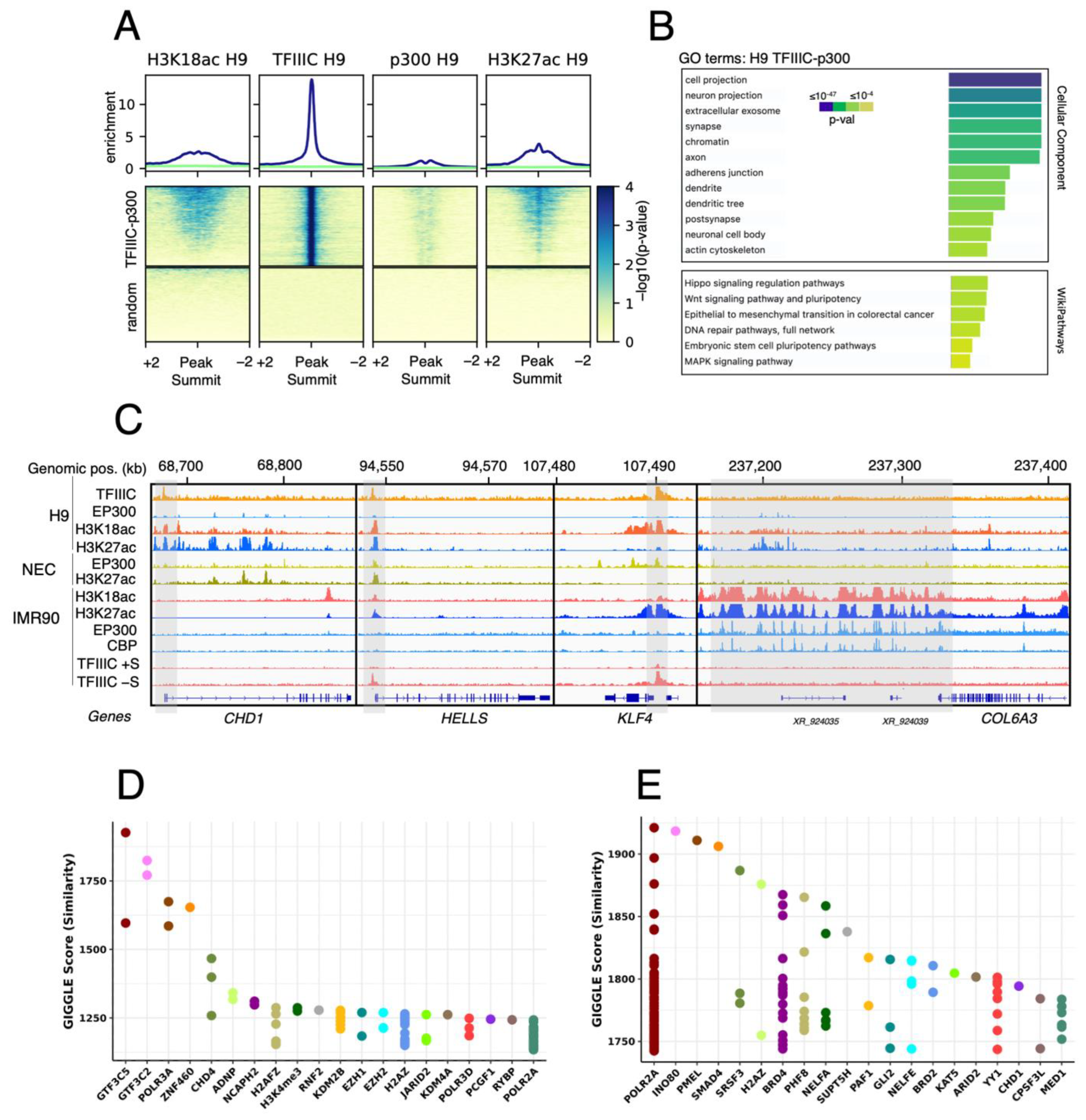Ijms 24 03624 g002 Ijms 24 03624 g002