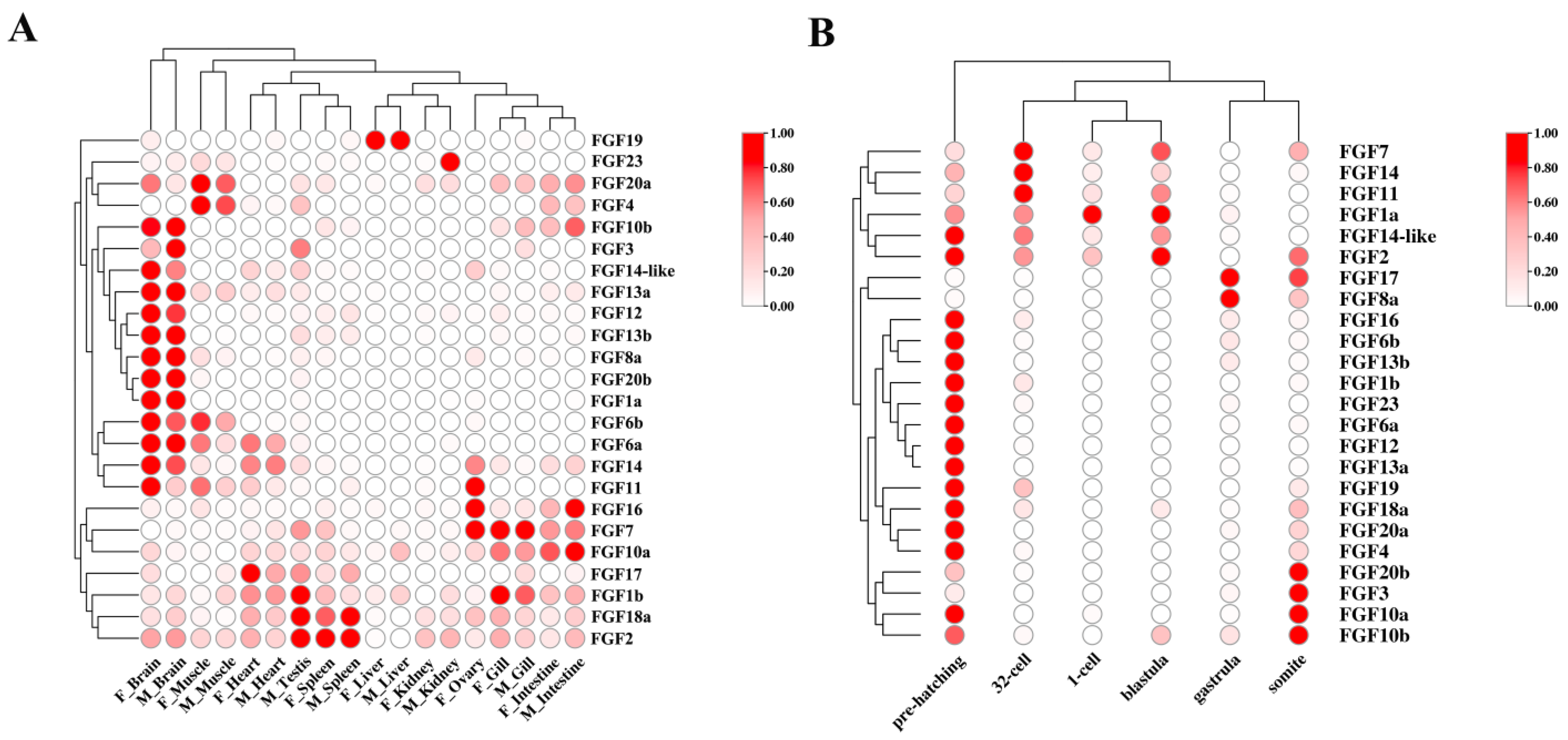 Ijms 24 03626 g003 550