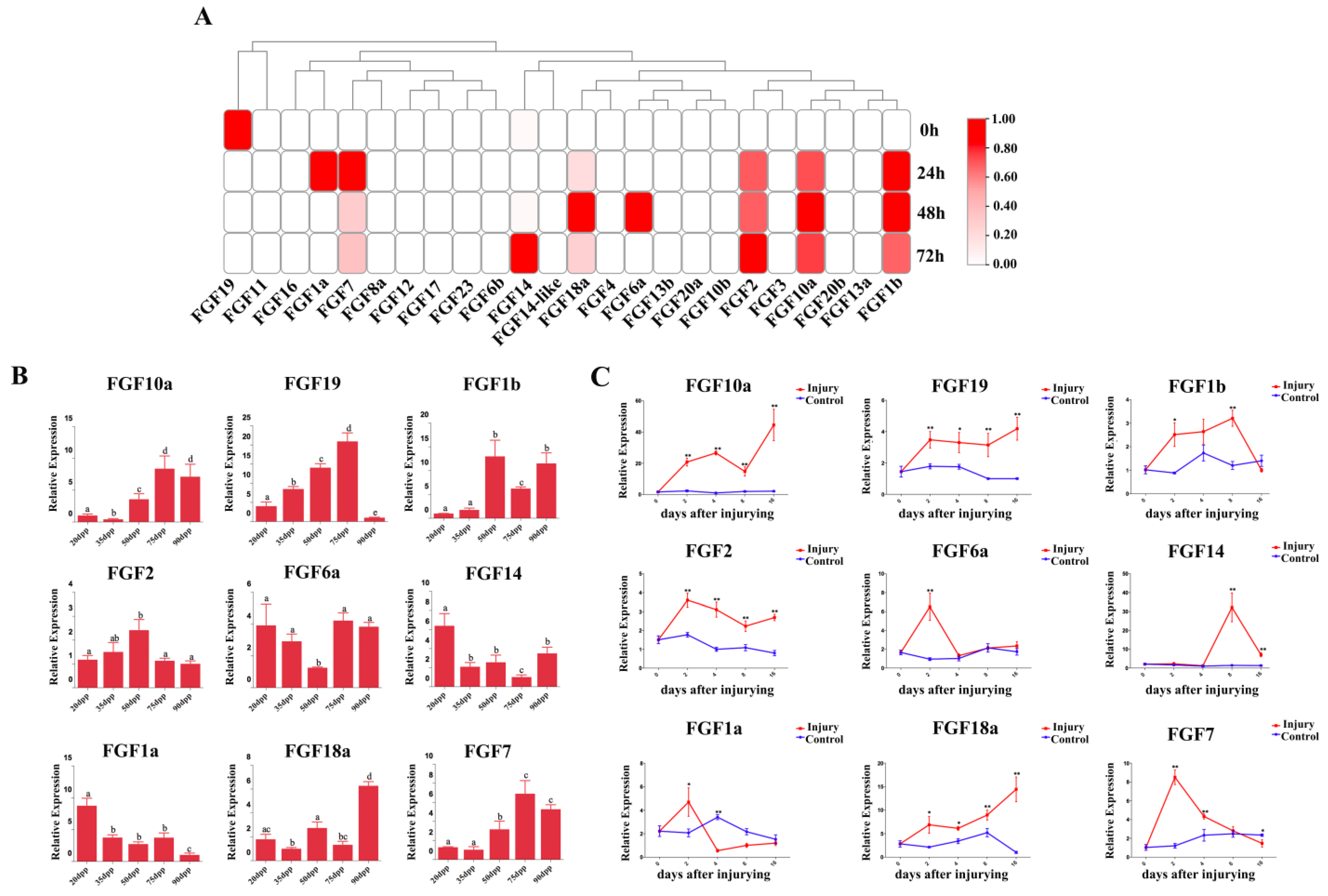Ijms 24 03626 g004 550