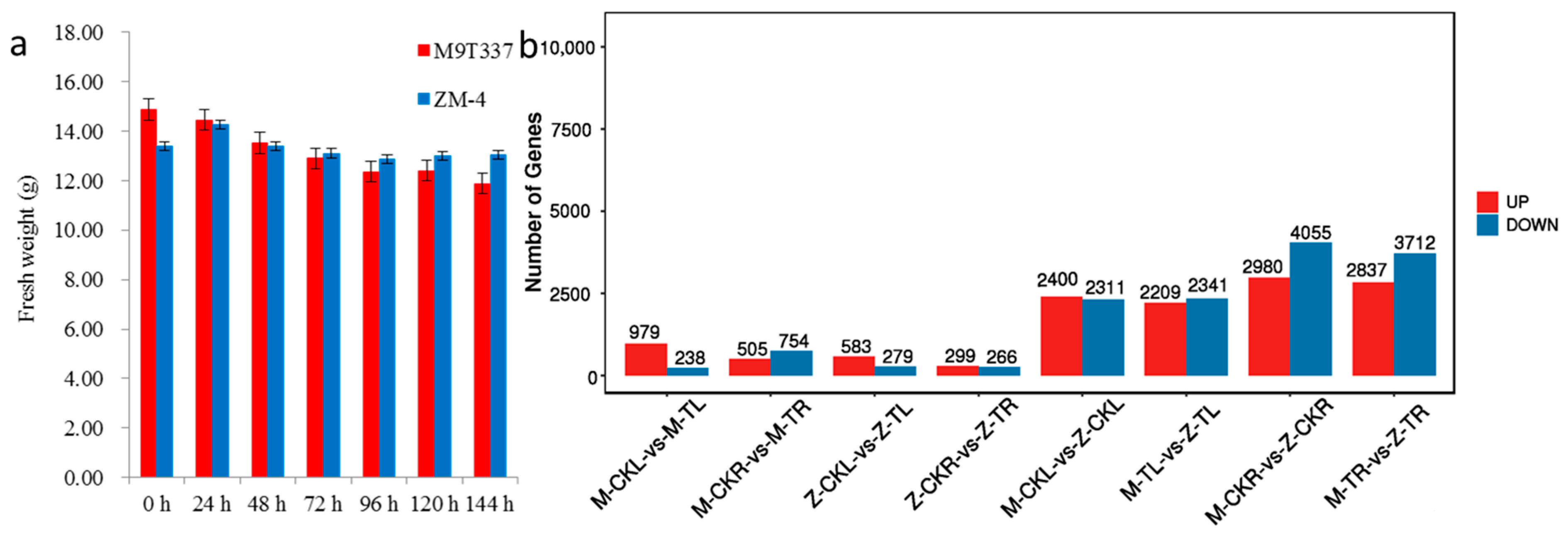Ijms 24 03638 g001 550