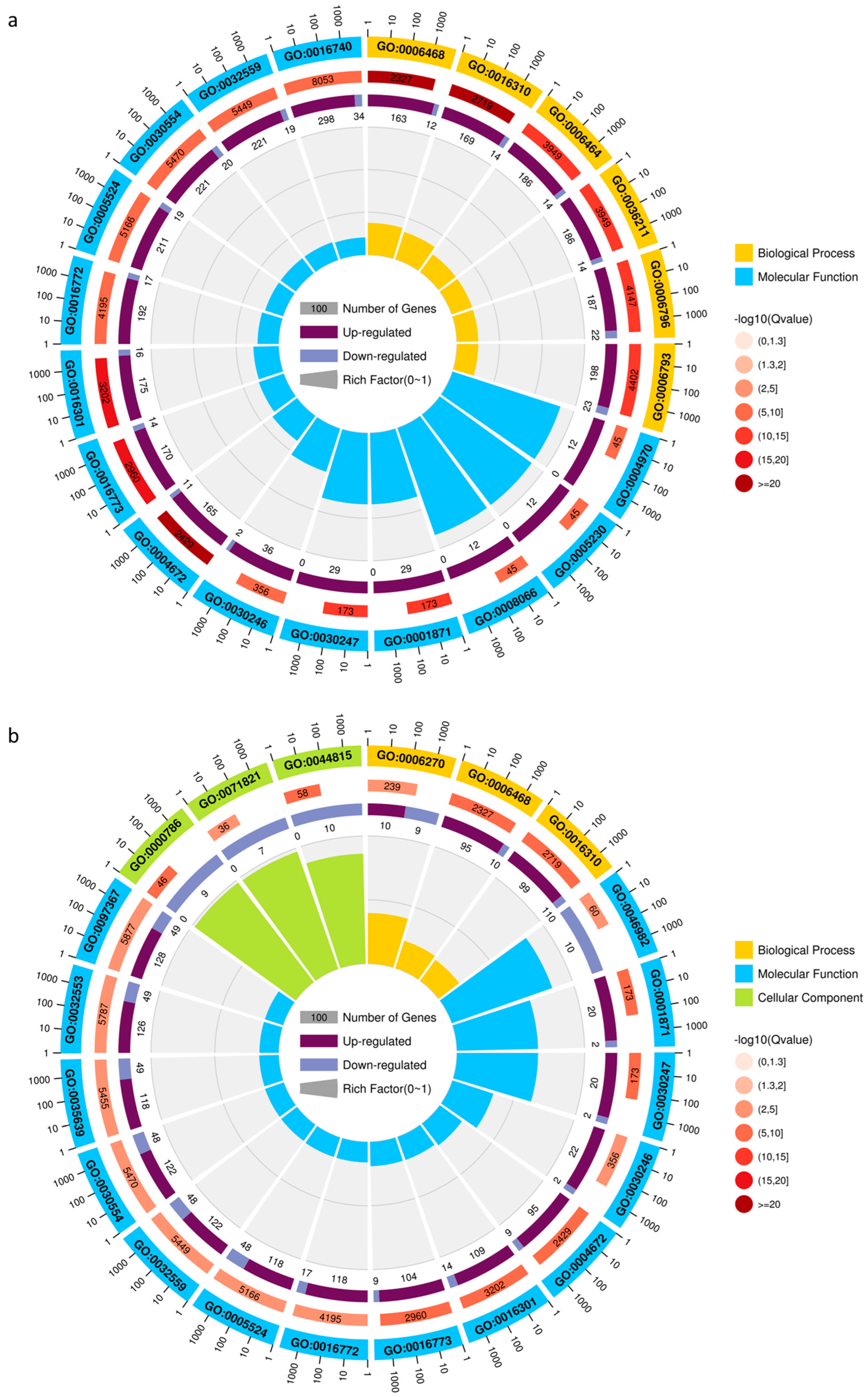 Ijms 24 03638 g002a 550