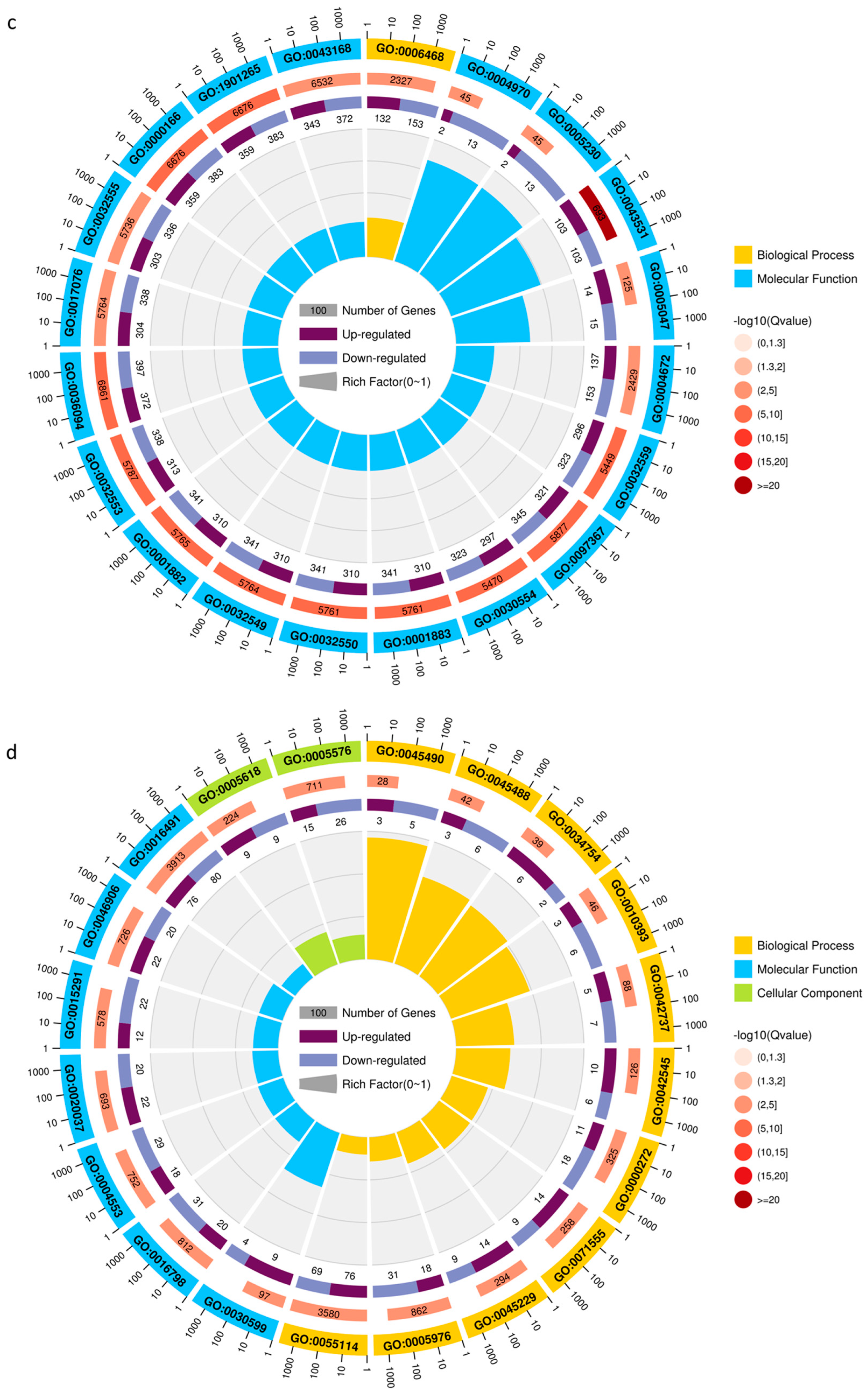 Ijms 24 03638 g002b 550