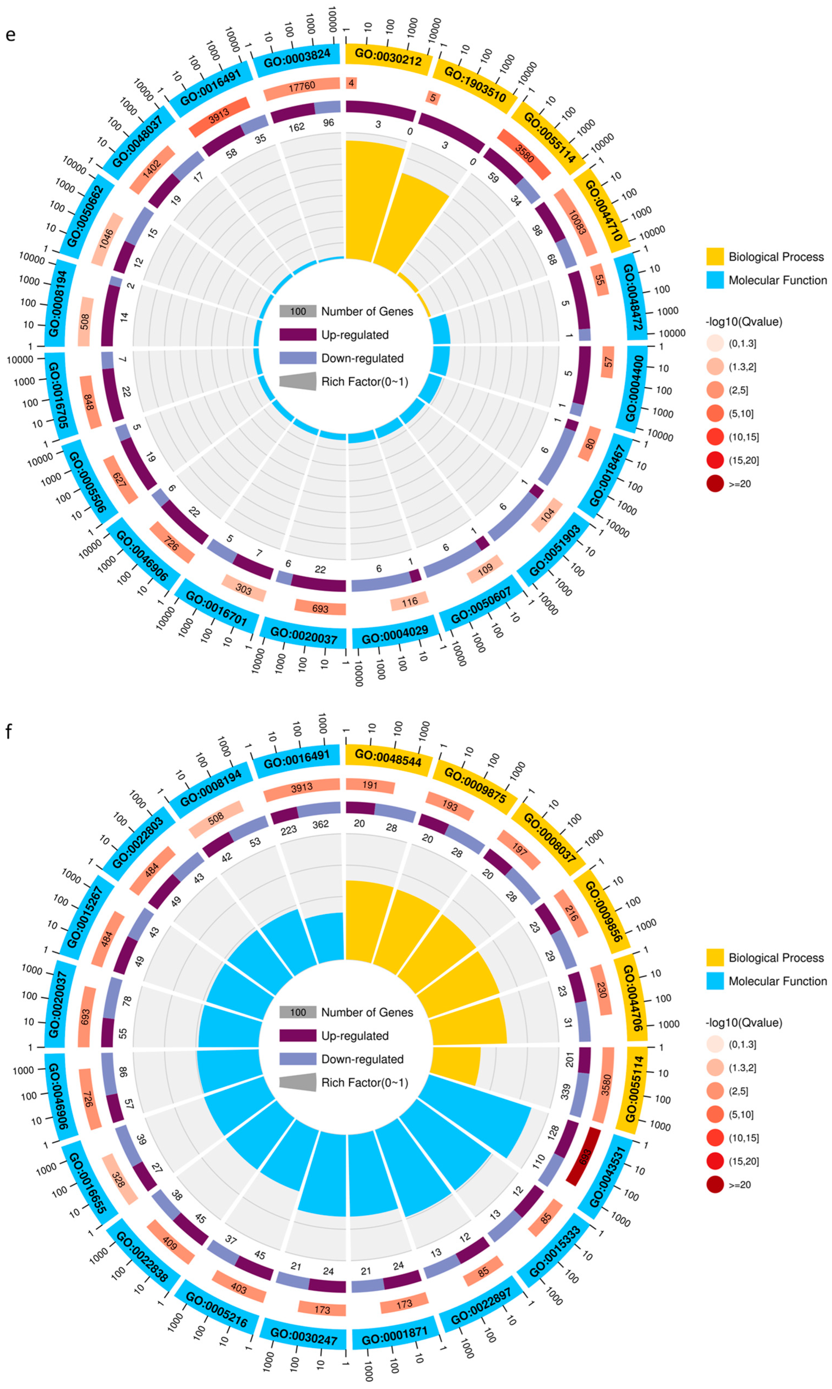 Ijms 24 03638 g002c 550