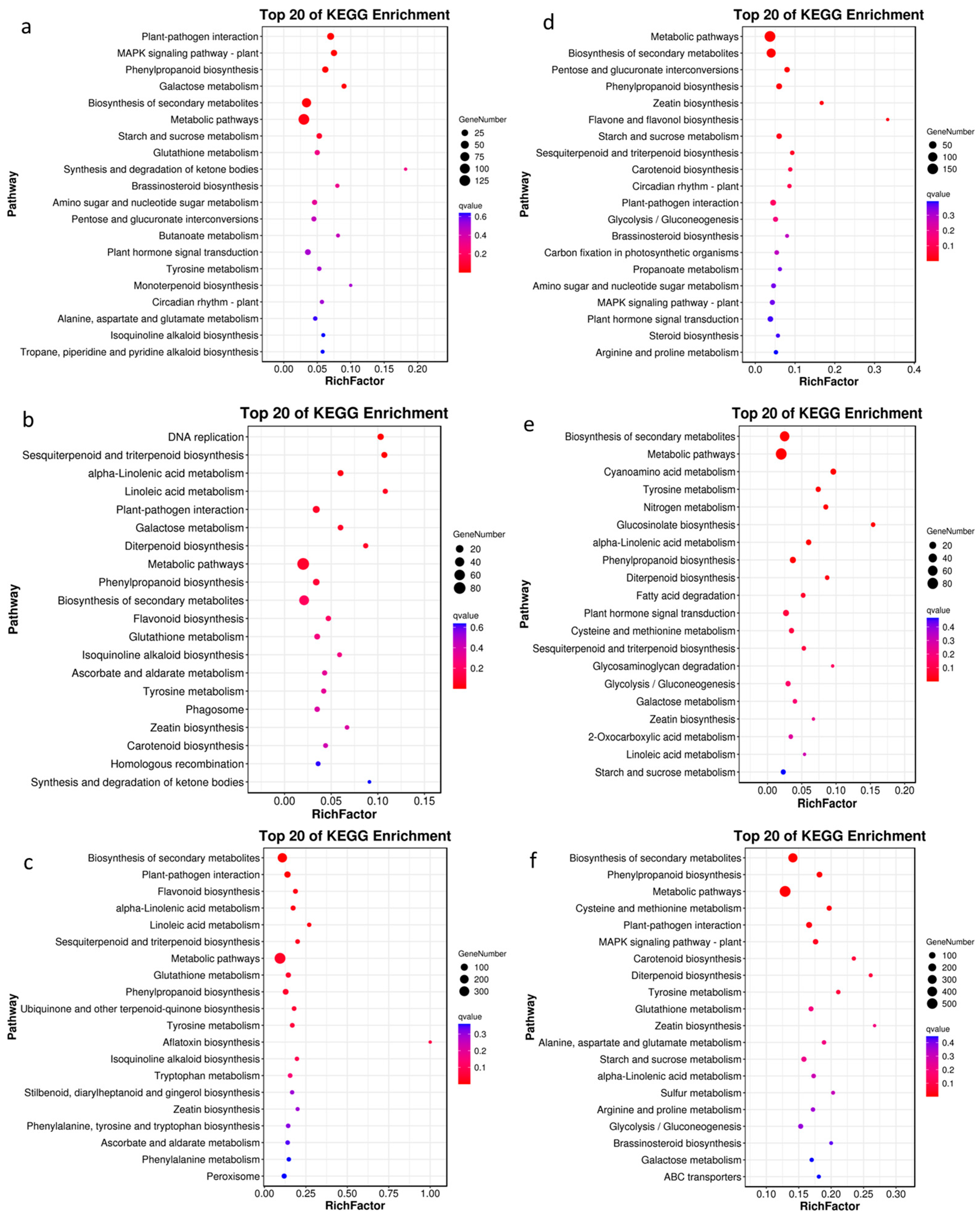 Ijms 24 03638 g003 550