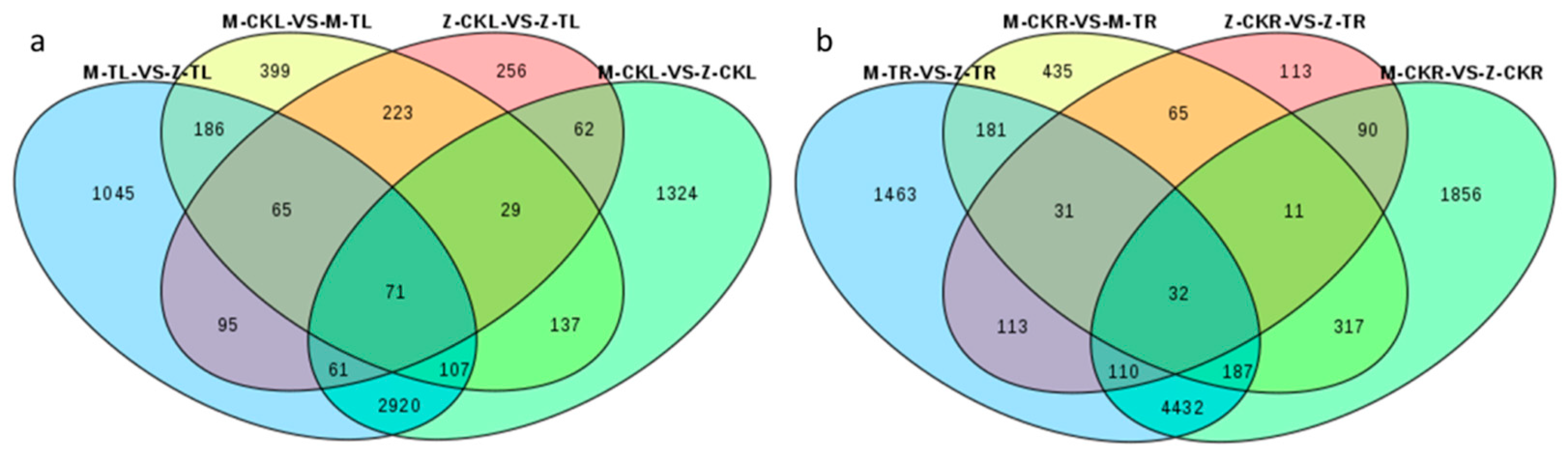 Ijms 24 03638 g004 550