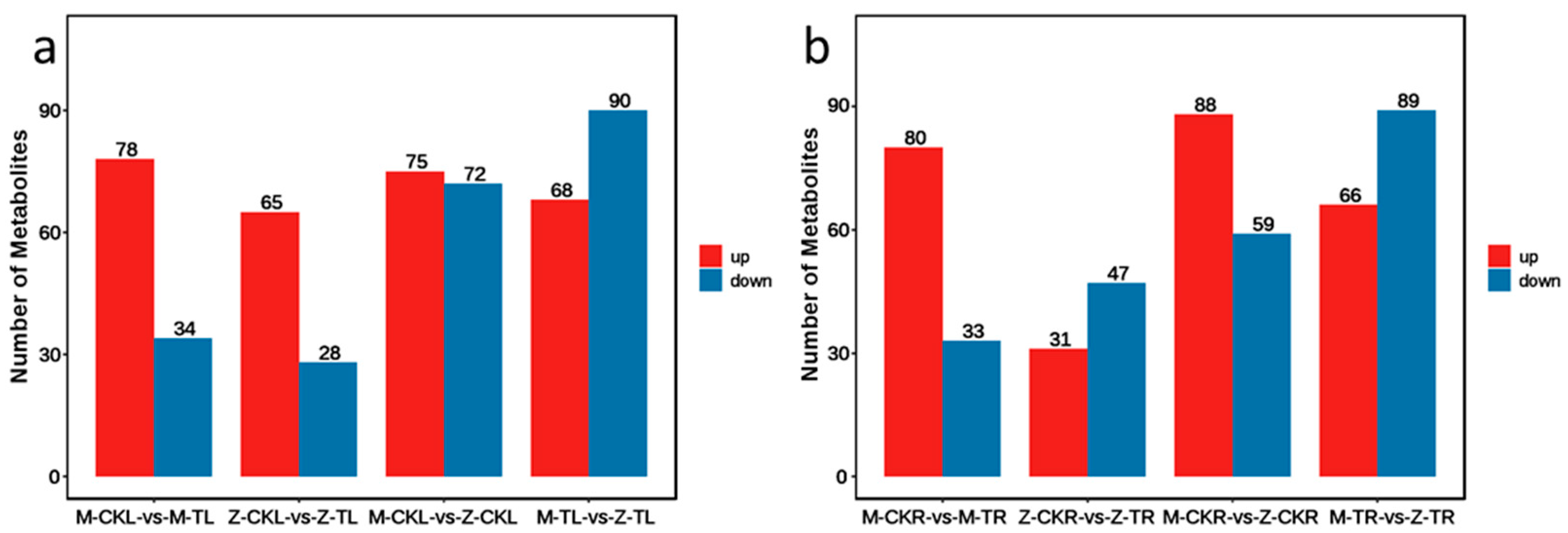 Ijms 24 03638 g006 550
