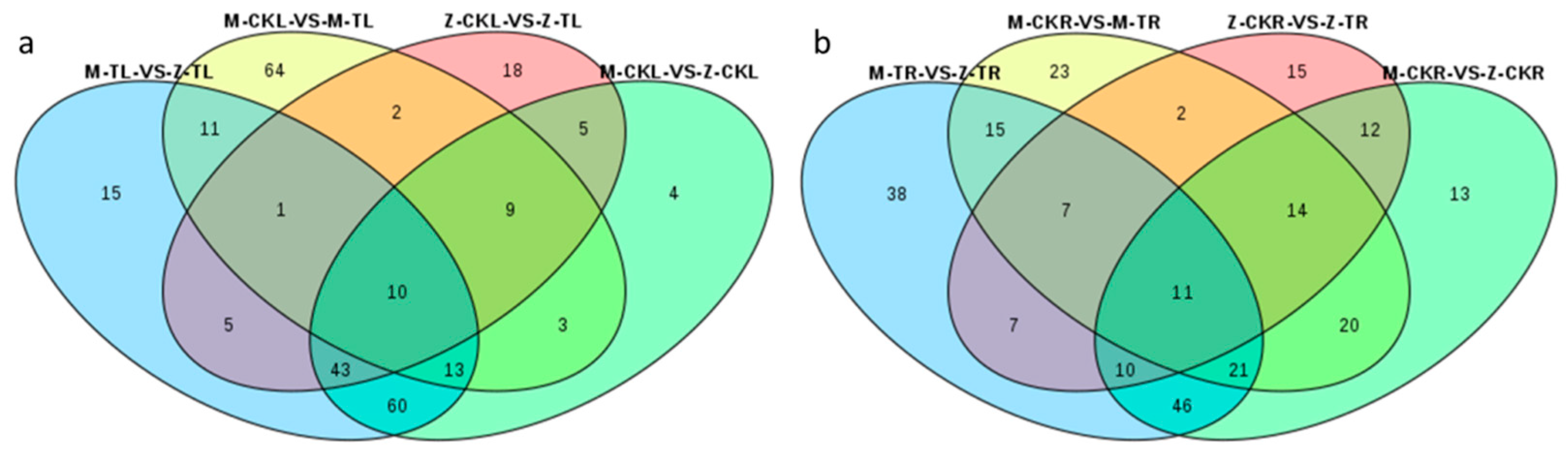 Ijms 24 03638 g008 550