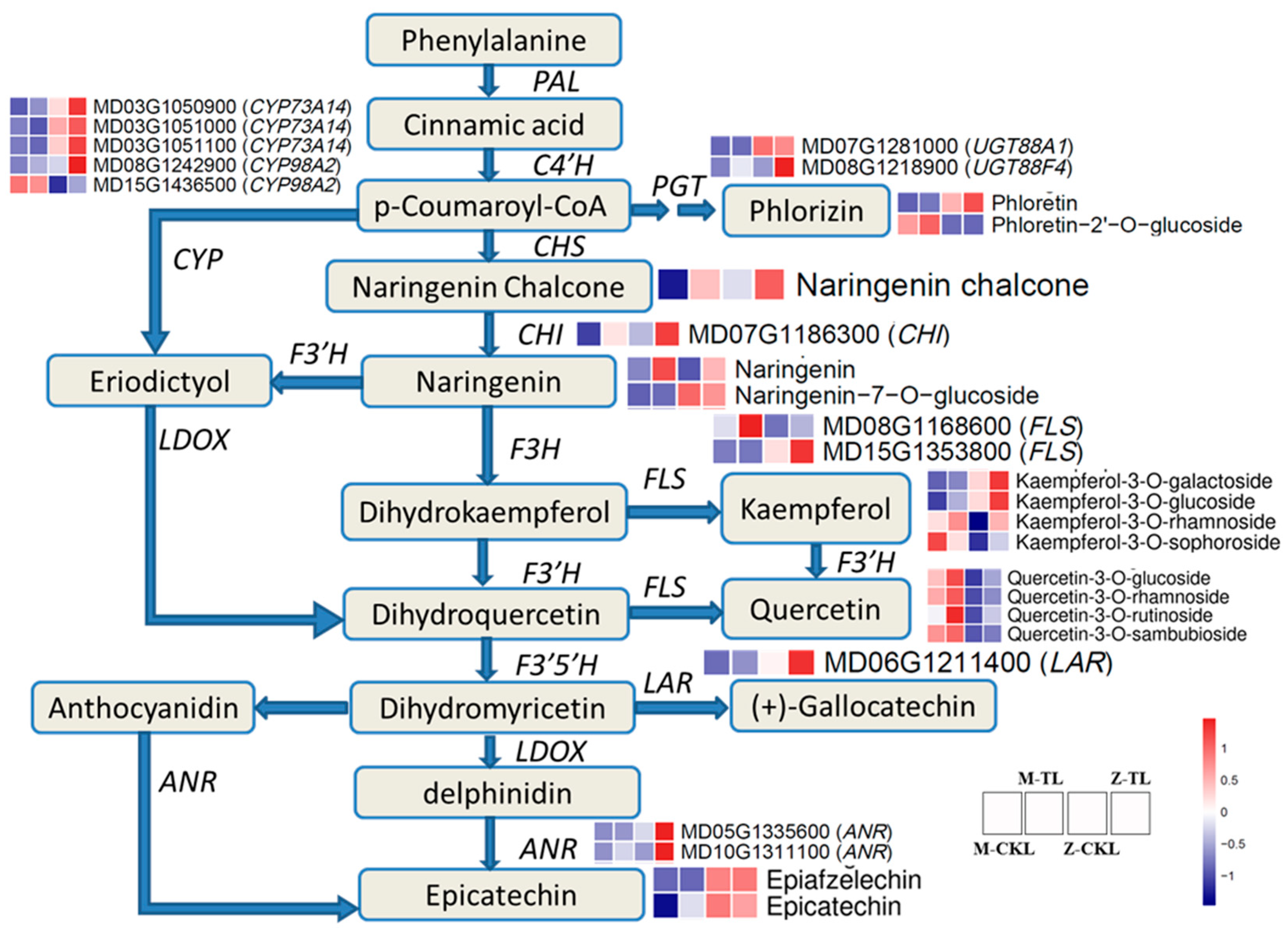 Ijms 24 03638 g010 550