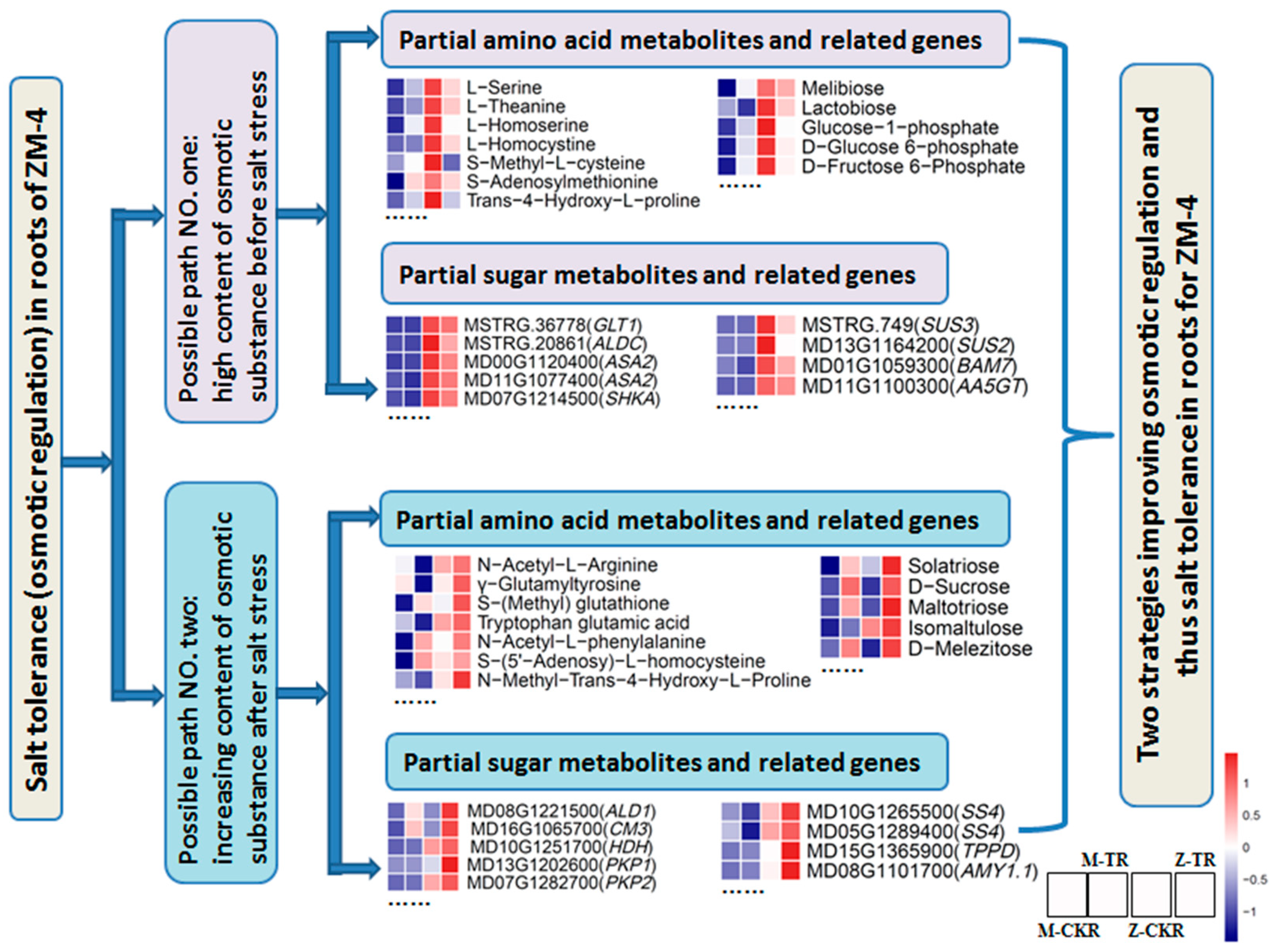 Ijms 24 03638 g011 550