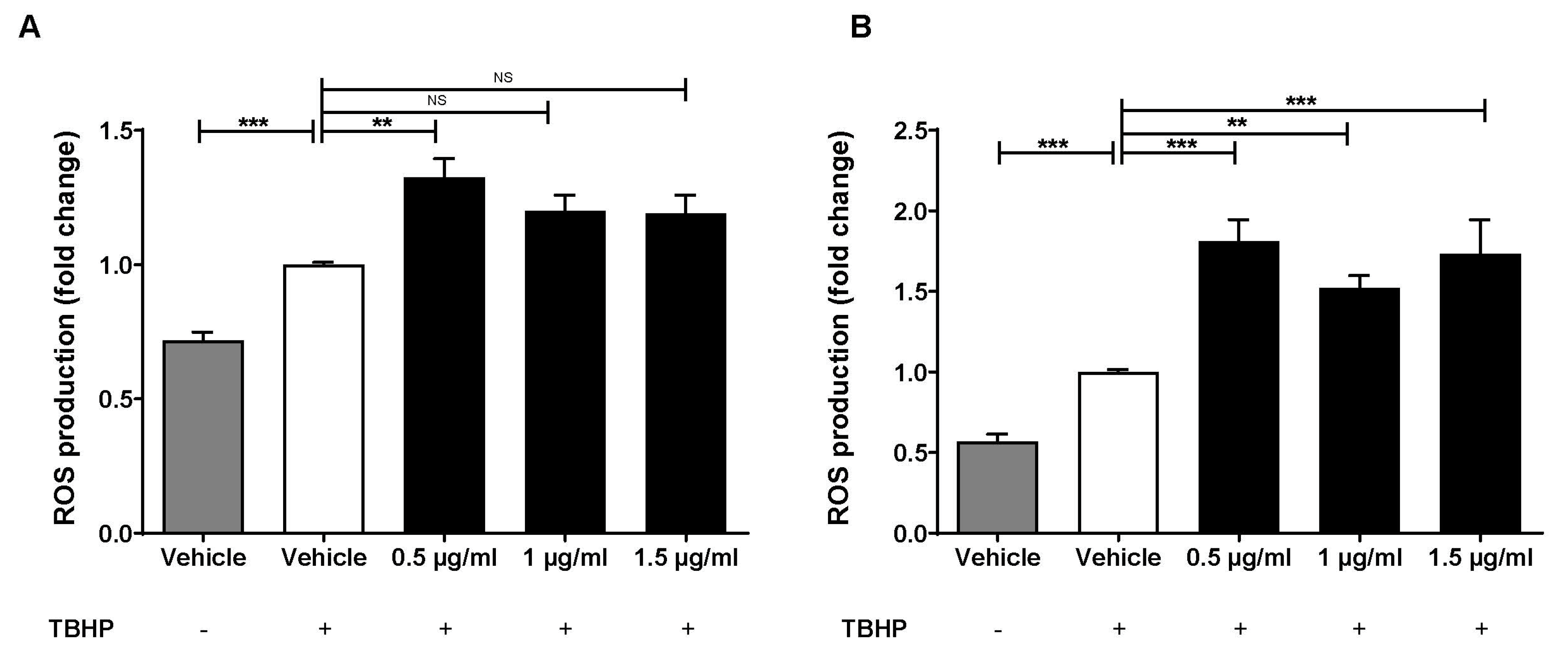 Ijms 24 03639 g002 Ijms 24 03639 g002