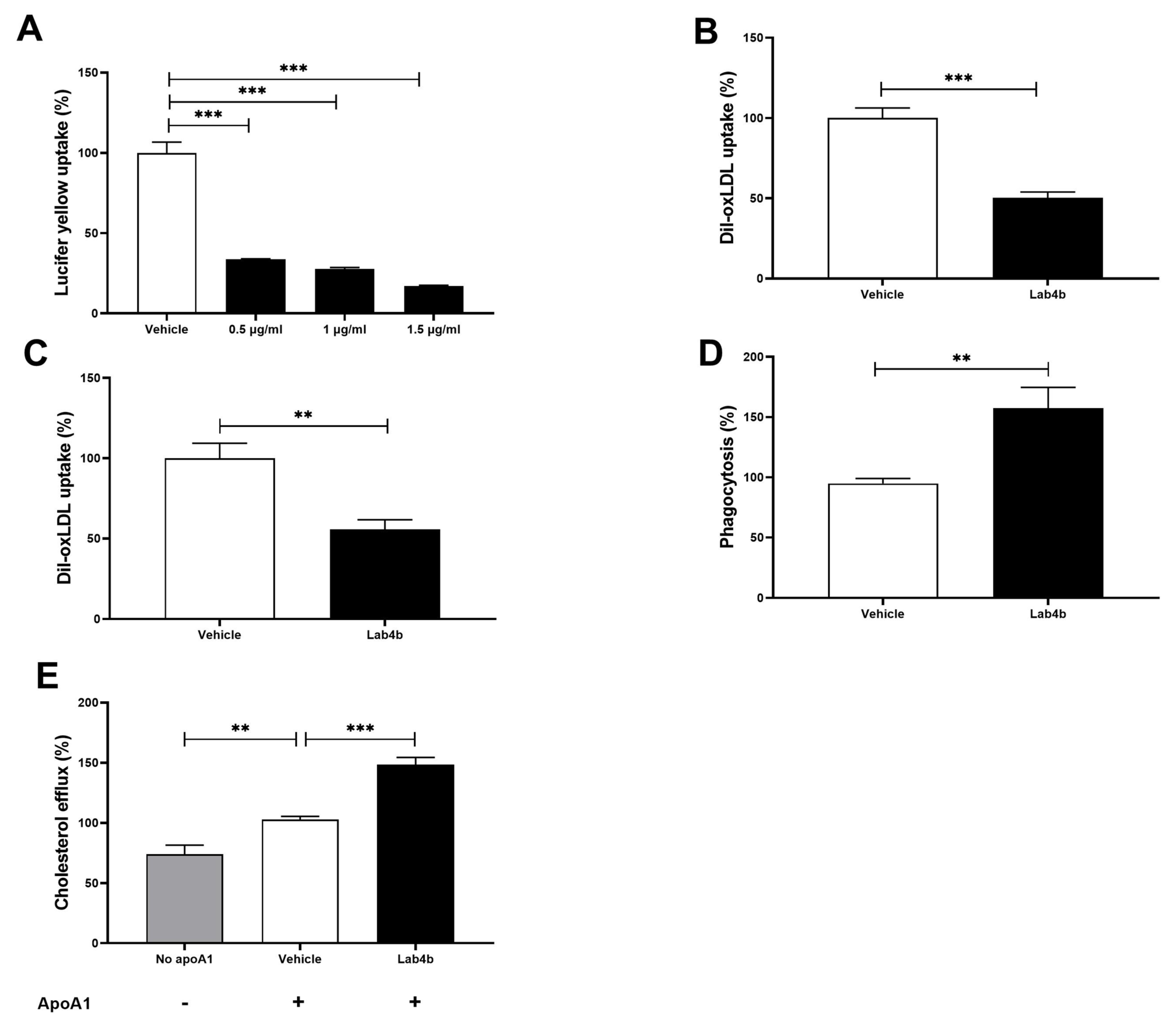 Ijms 24 03639 g003 Ijms 24 03639 g003