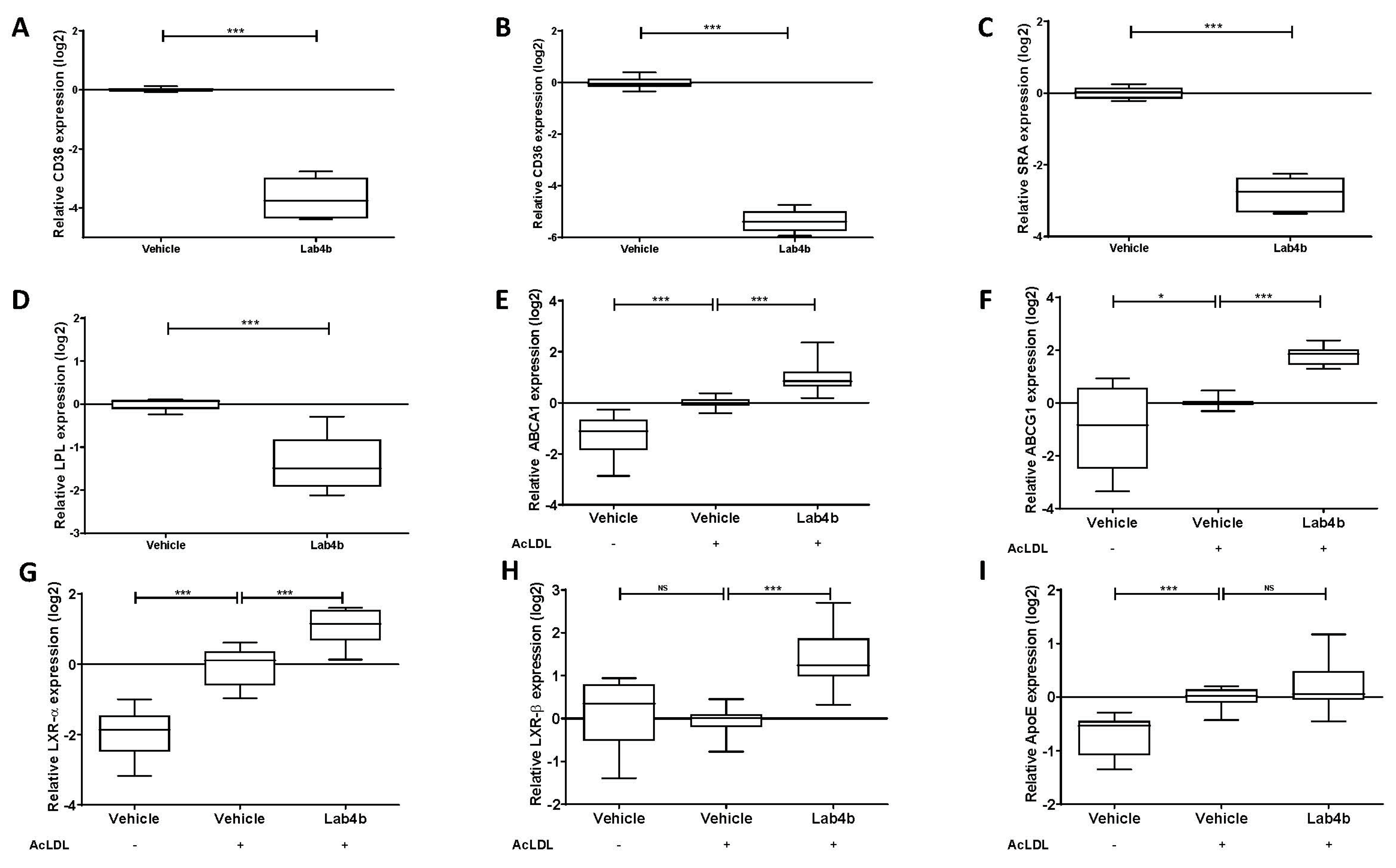 Ijms 24 03639 g004 Ijms 24 03639 g004
