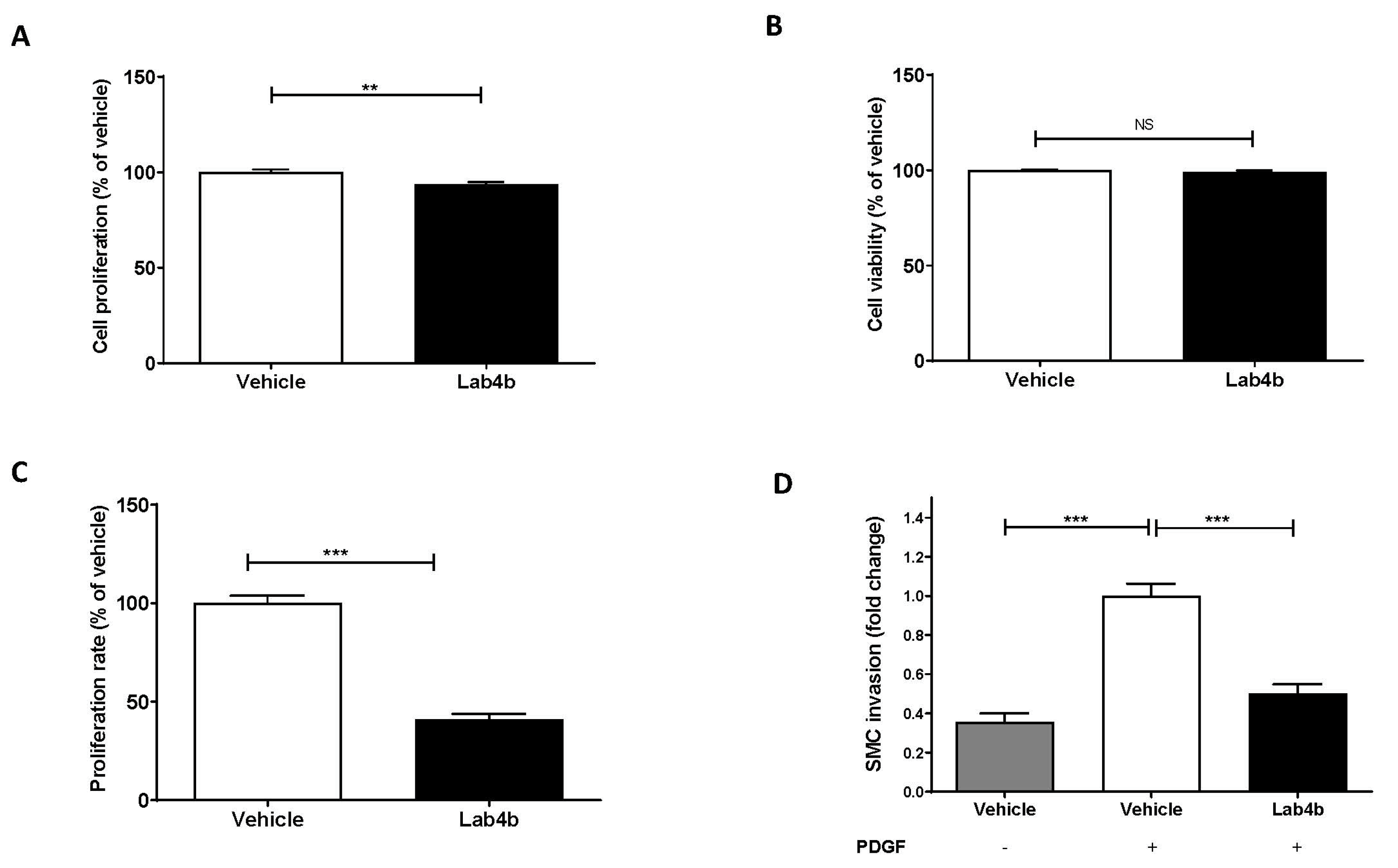 Ijms 24 03639 g006 Ijms 24 03639 g006