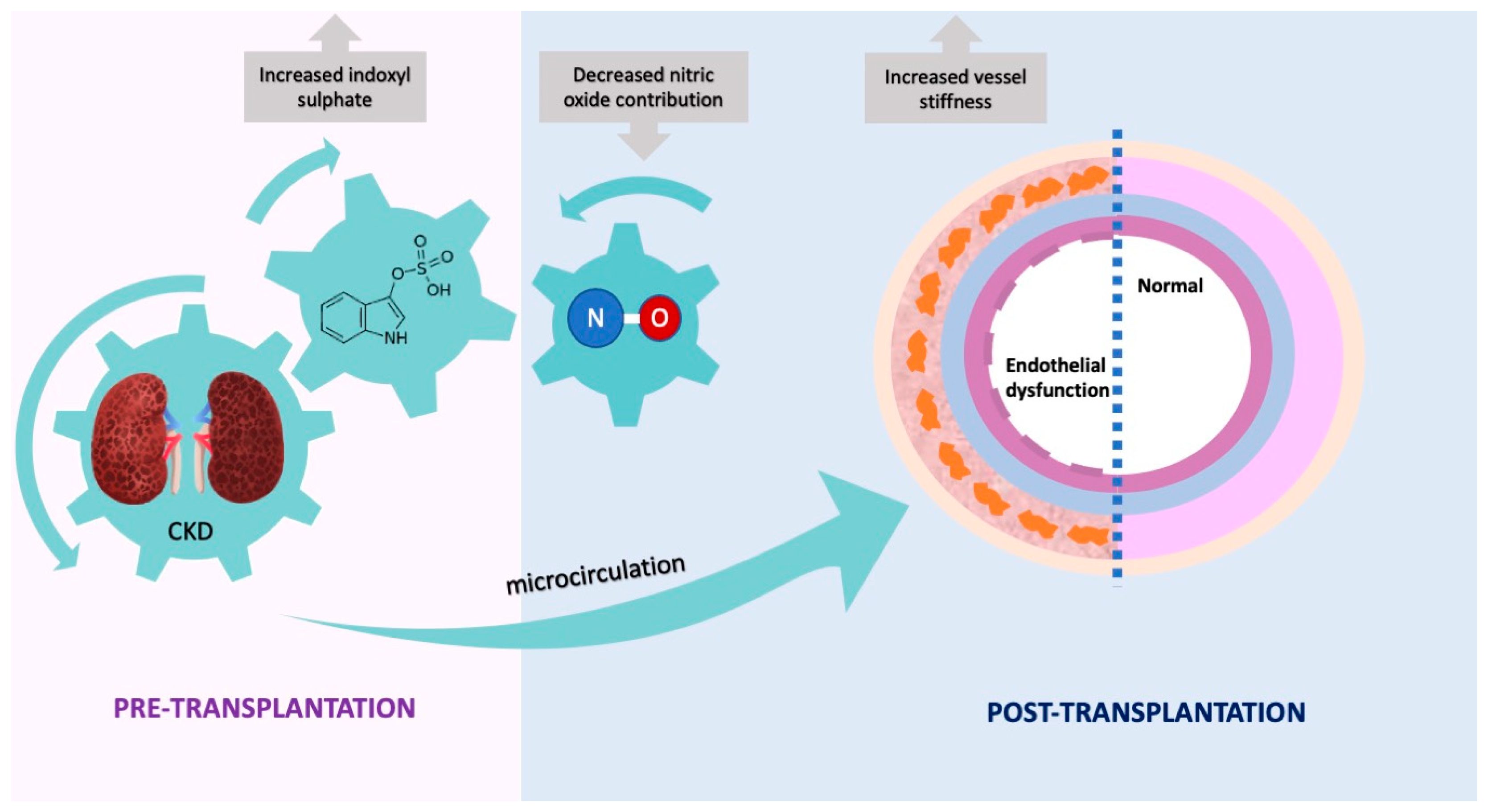 Ijms 24 03640 g004 Ijms 24 03640 g004