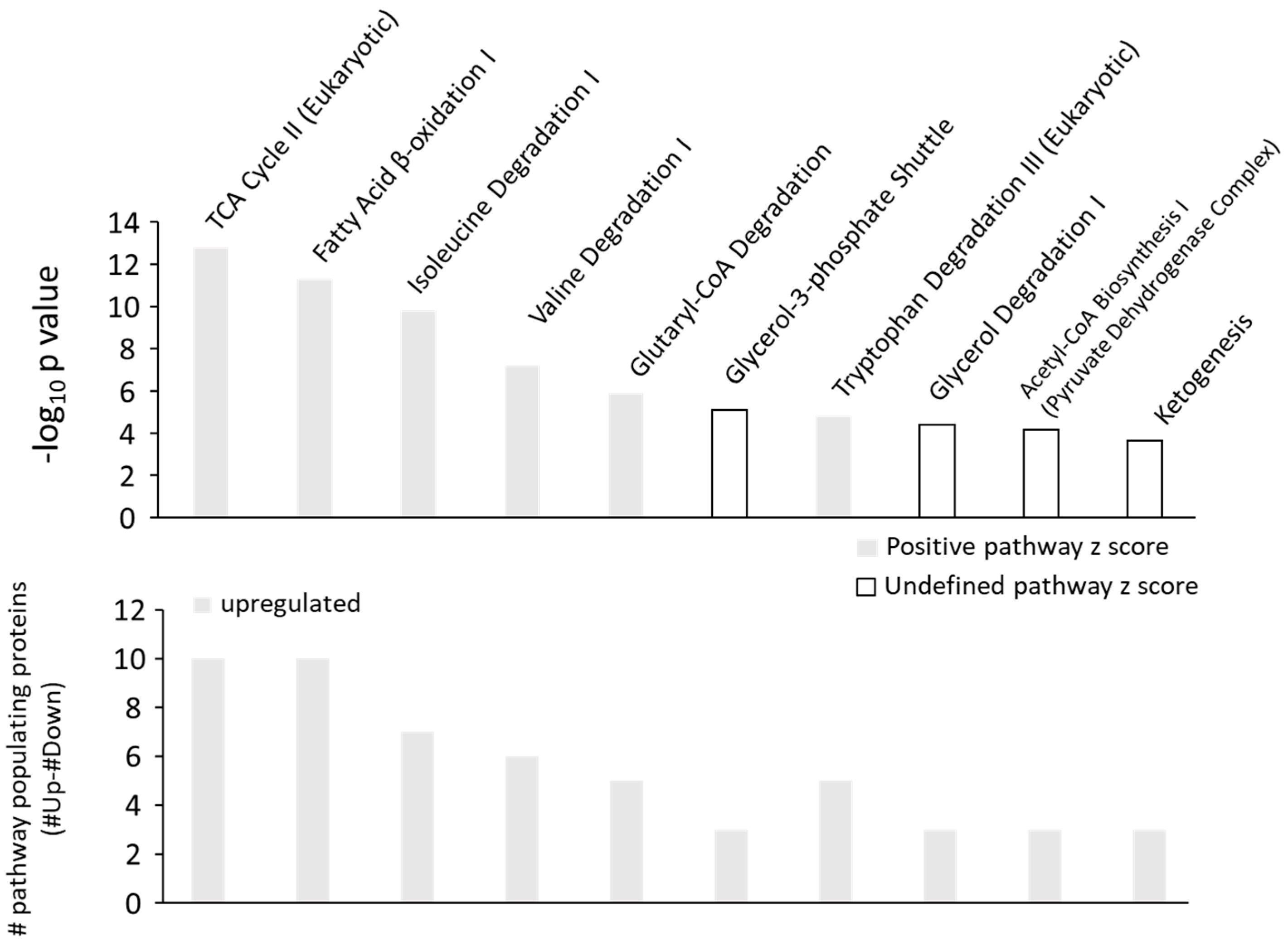 Ijms 24 03657 g003 Ijms 24 03657 g003