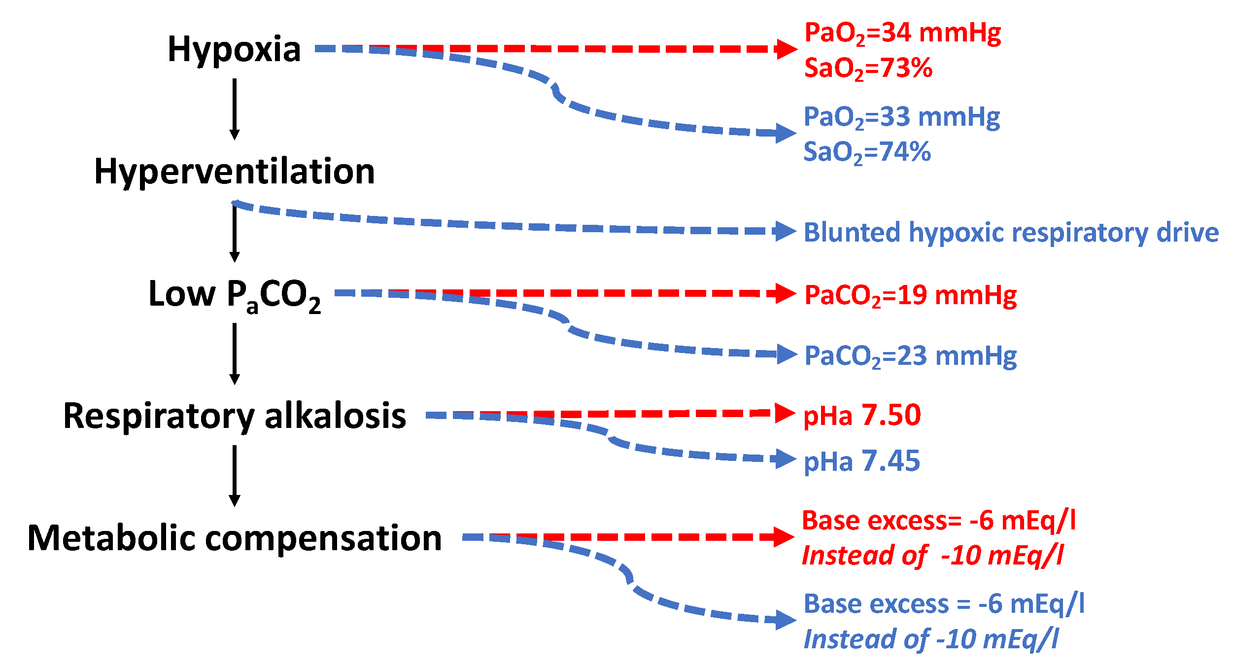 IJMS Free FullText The Oxygen Cascade from Atmosphere to