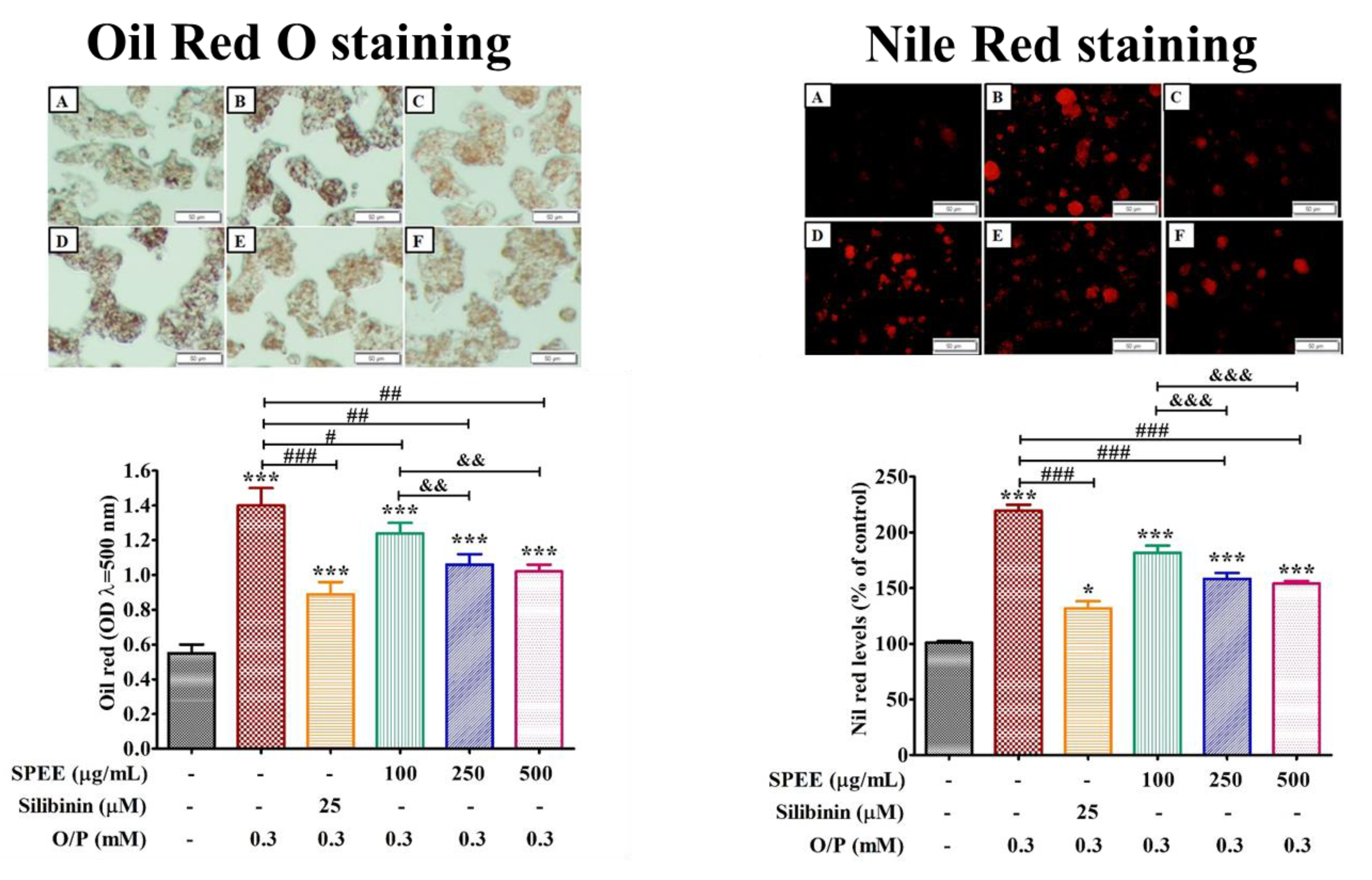 Ijms 24 03672 g004 550