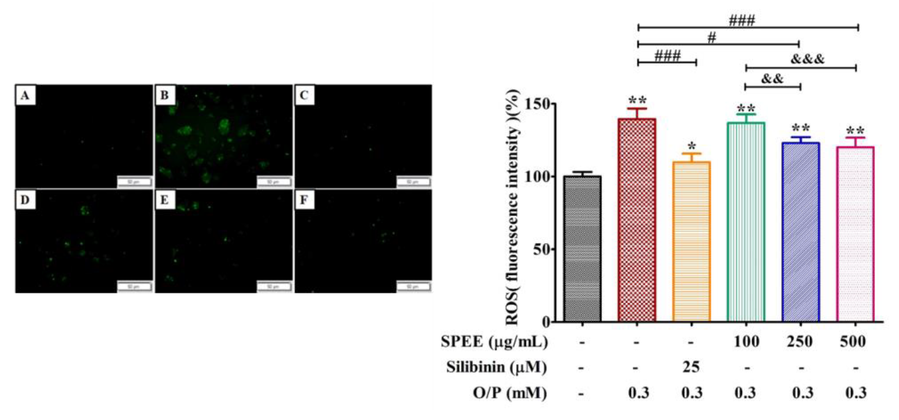 Ijms 24 03672 g005 550