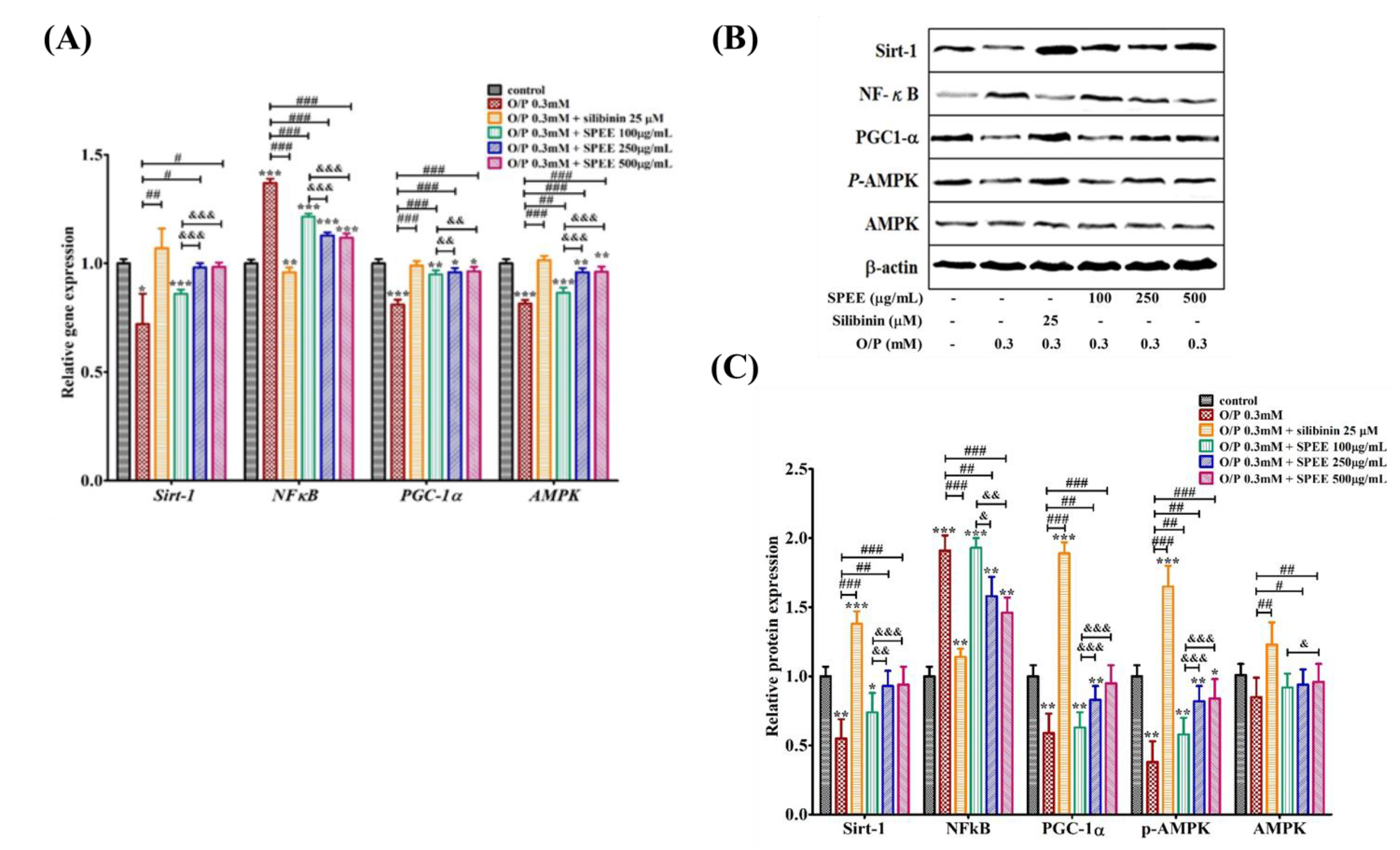 Ijms 24 03672 g008 550