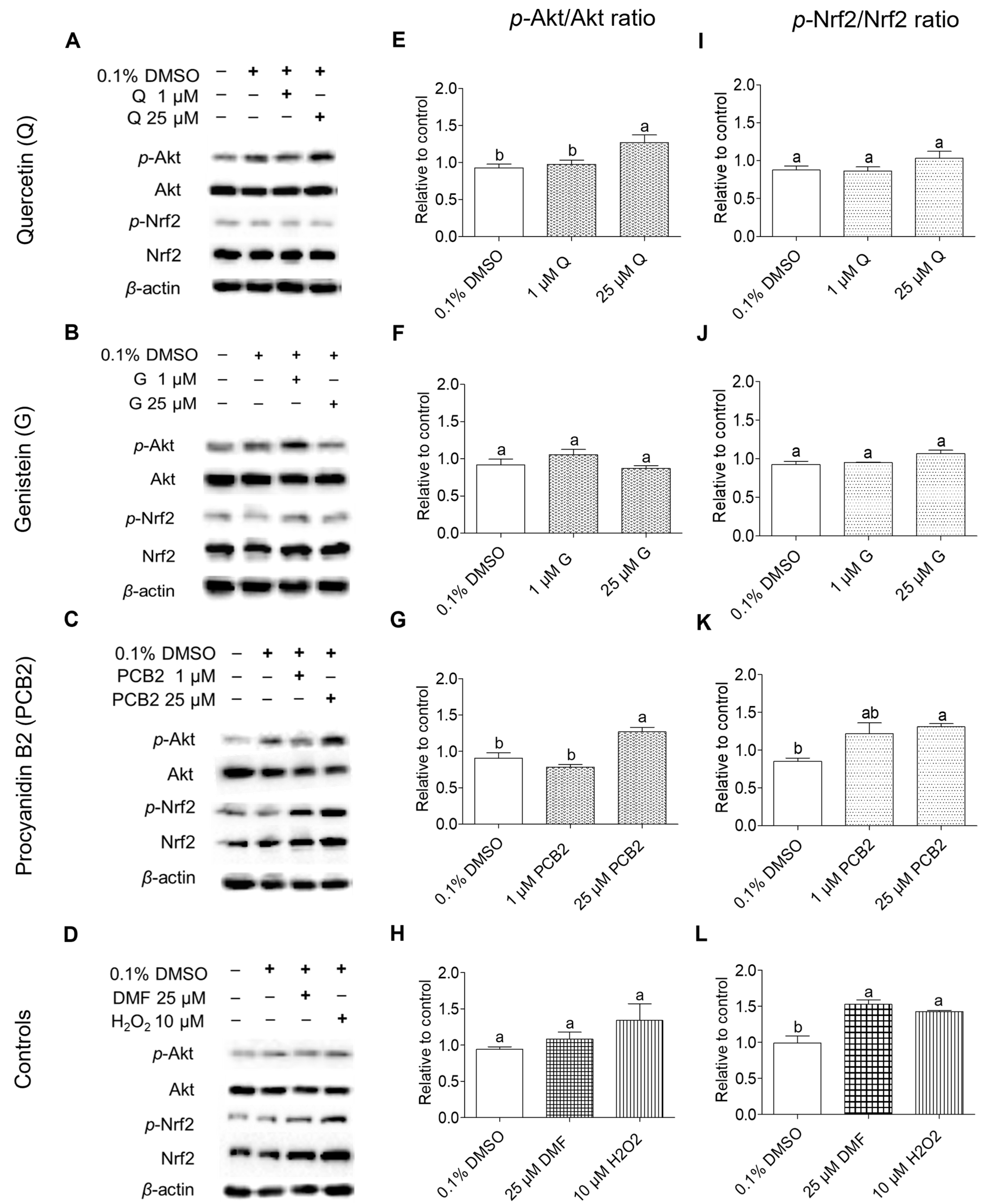 Genistein and Procyanidin B2 Reduce Carcinogen-Induced Genistein and Procyanidin B2 Reduce Carcinogen-Induced