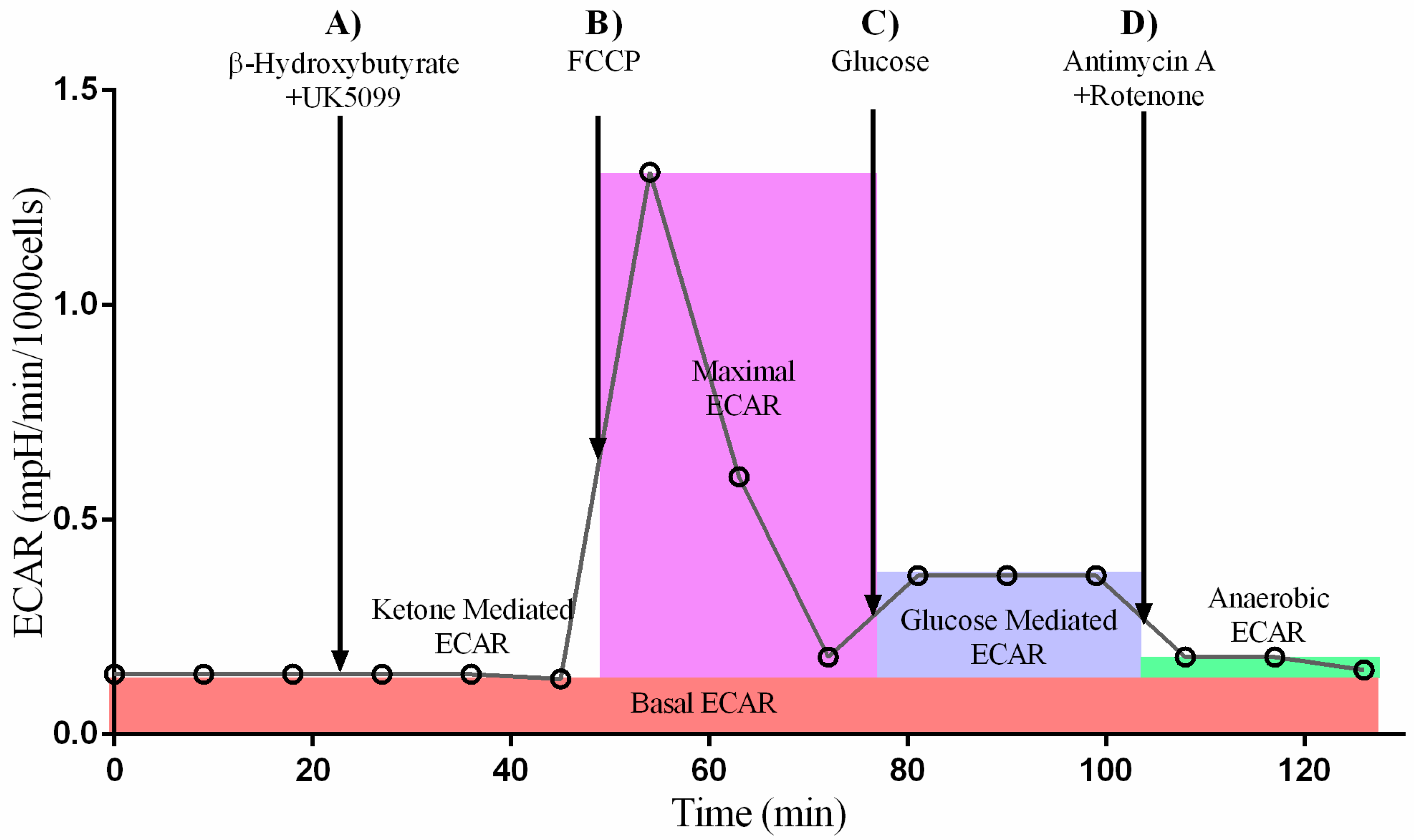 Ijms 24 03684 g002 Ijms 24 03684 g002