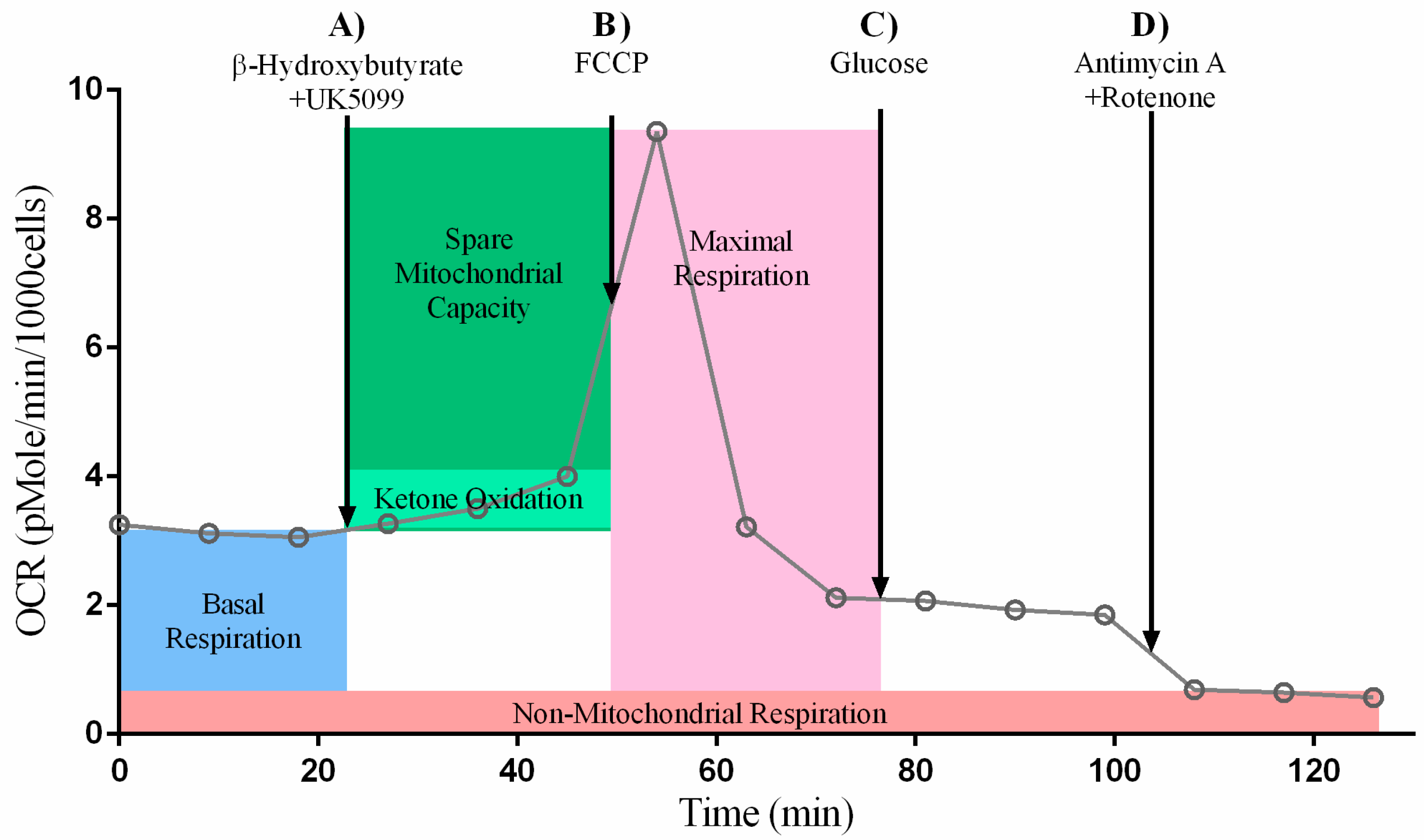 Ijms 24 03684 g010 Ijms 24 03684 g010