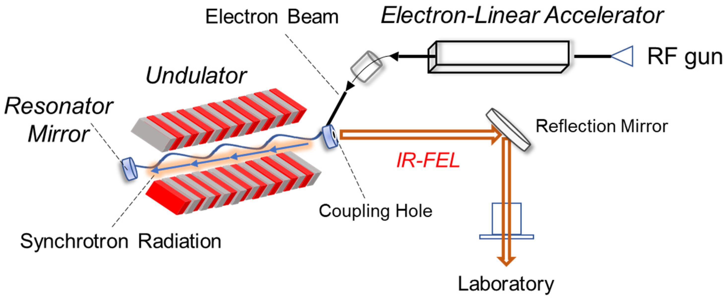 Ijms 24 03686 g002 Ijms 24 03686 g002