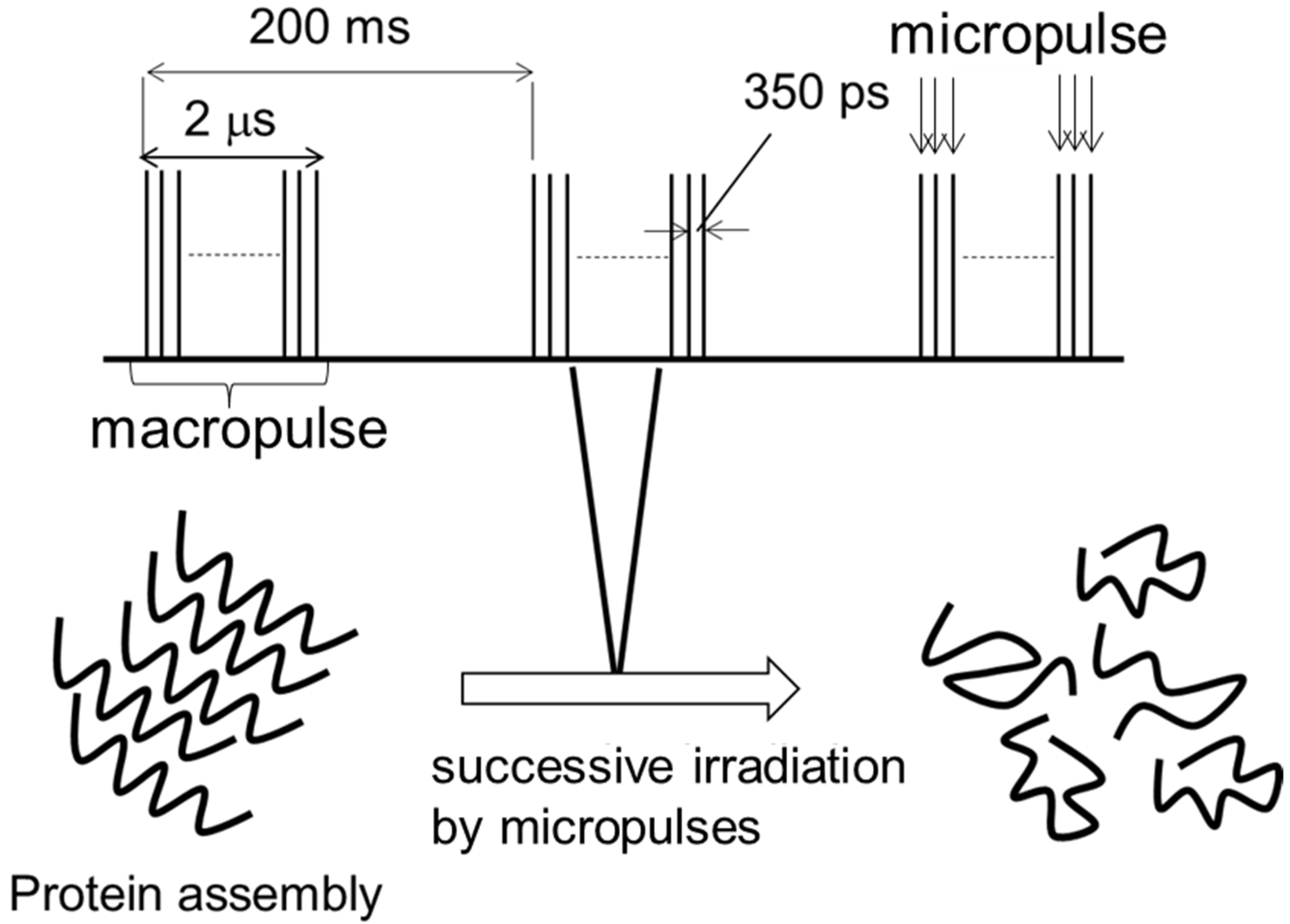 Ijms 24 03686 g004 Ijms 24 03686 g004