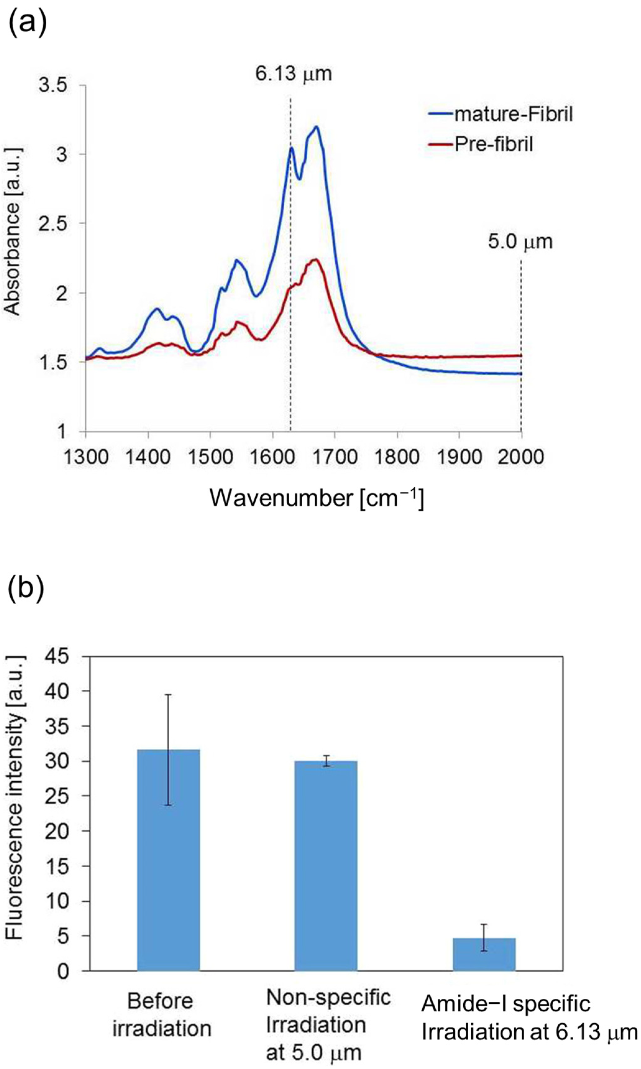 Ijms 24 03686 g005 Ijms 24 03686 g005