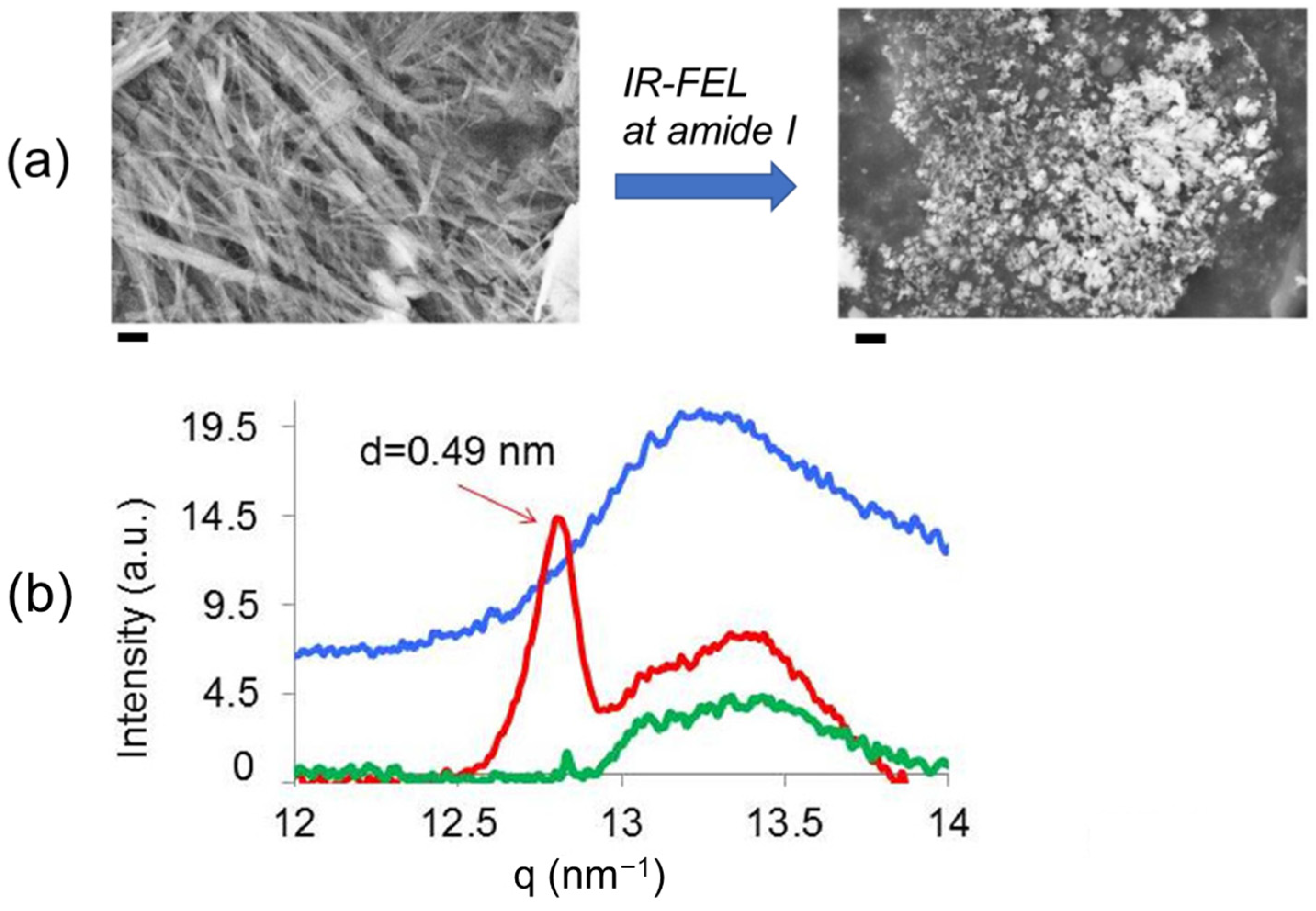 Ijms 24 03686 g006 Ijms 24 03686 g006