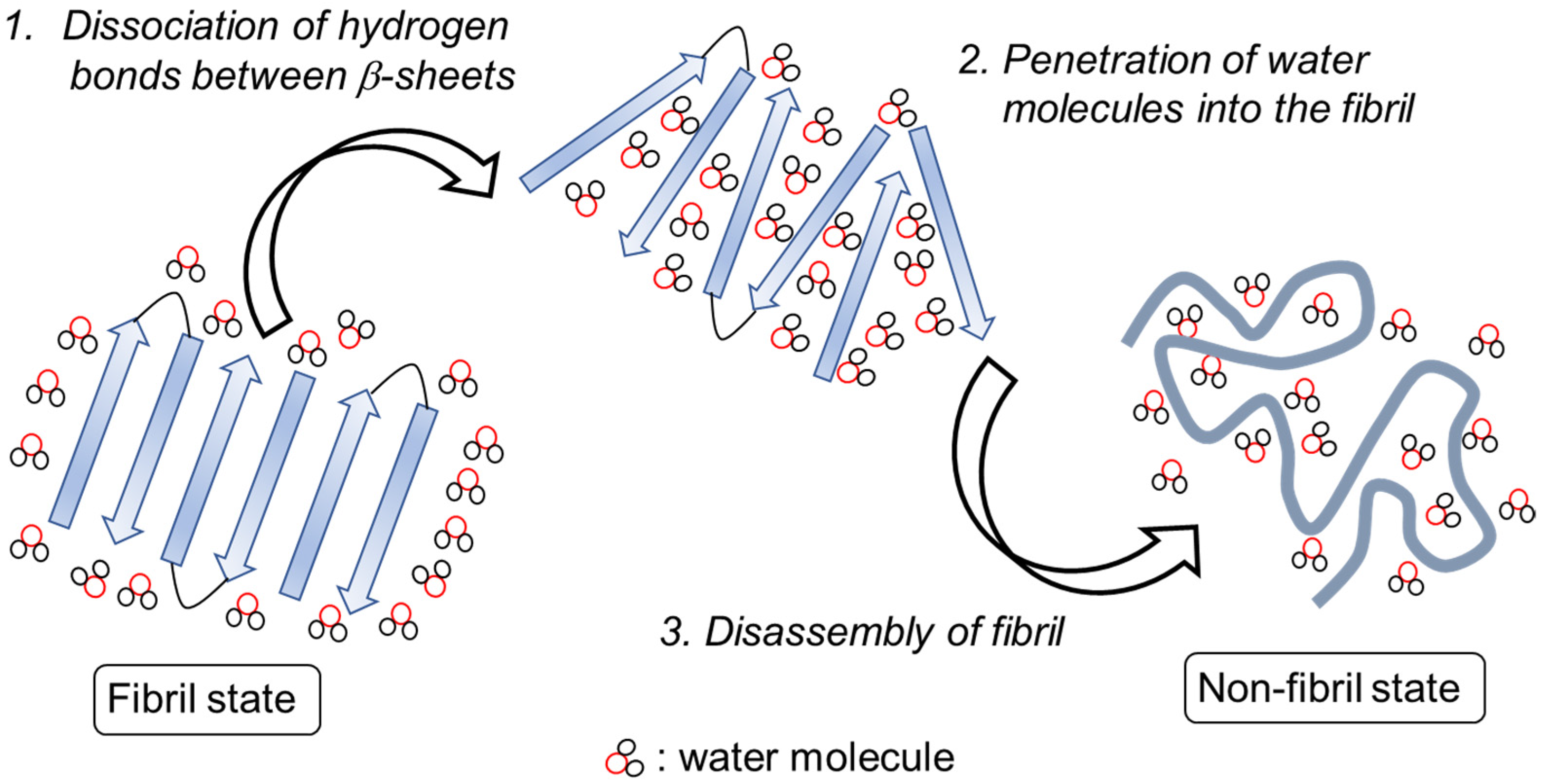 Ijms 24 03686 g012 Ijms 24 03686 g012