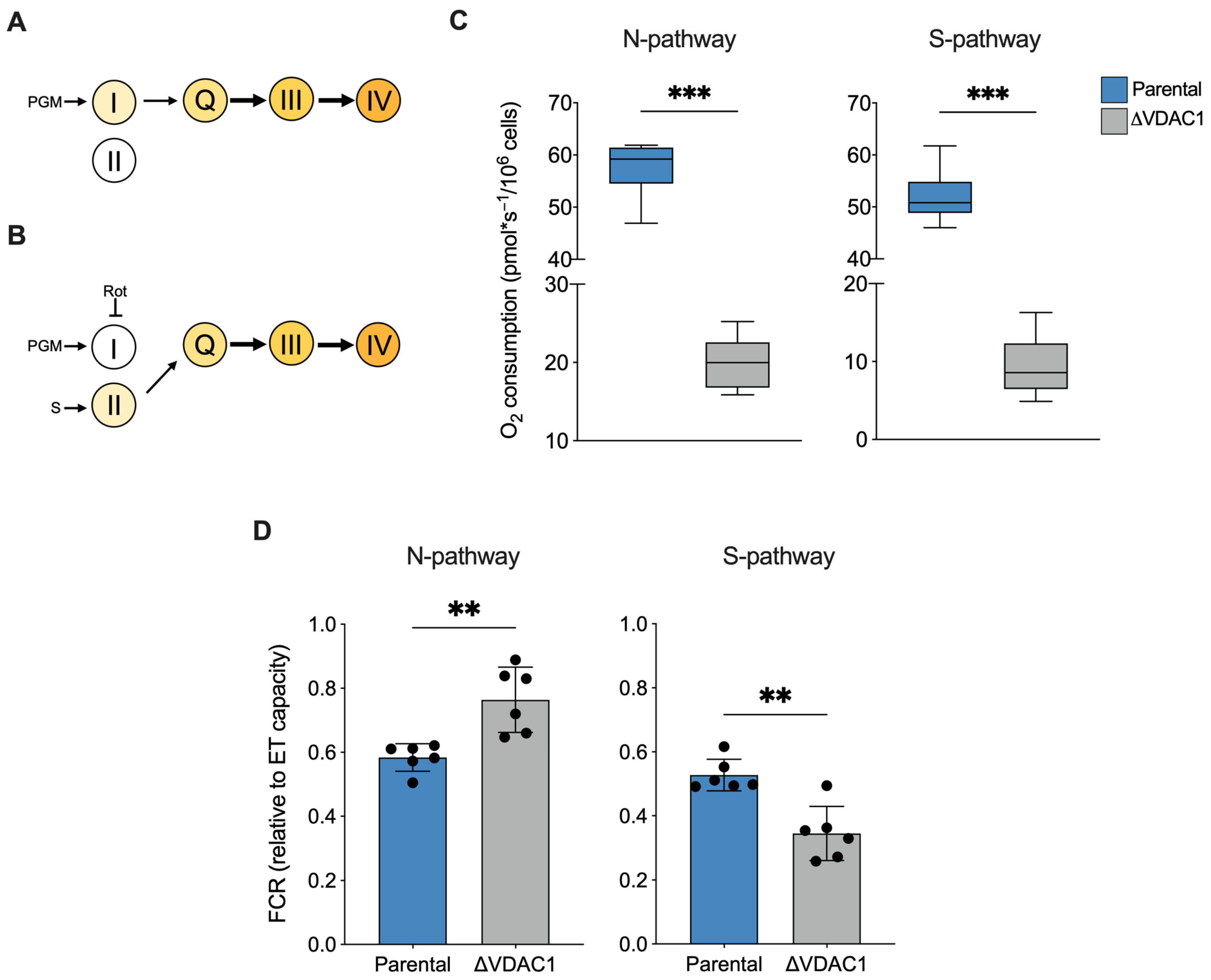 Ijms 24 03687 g005 Ijms 24 03687 g005