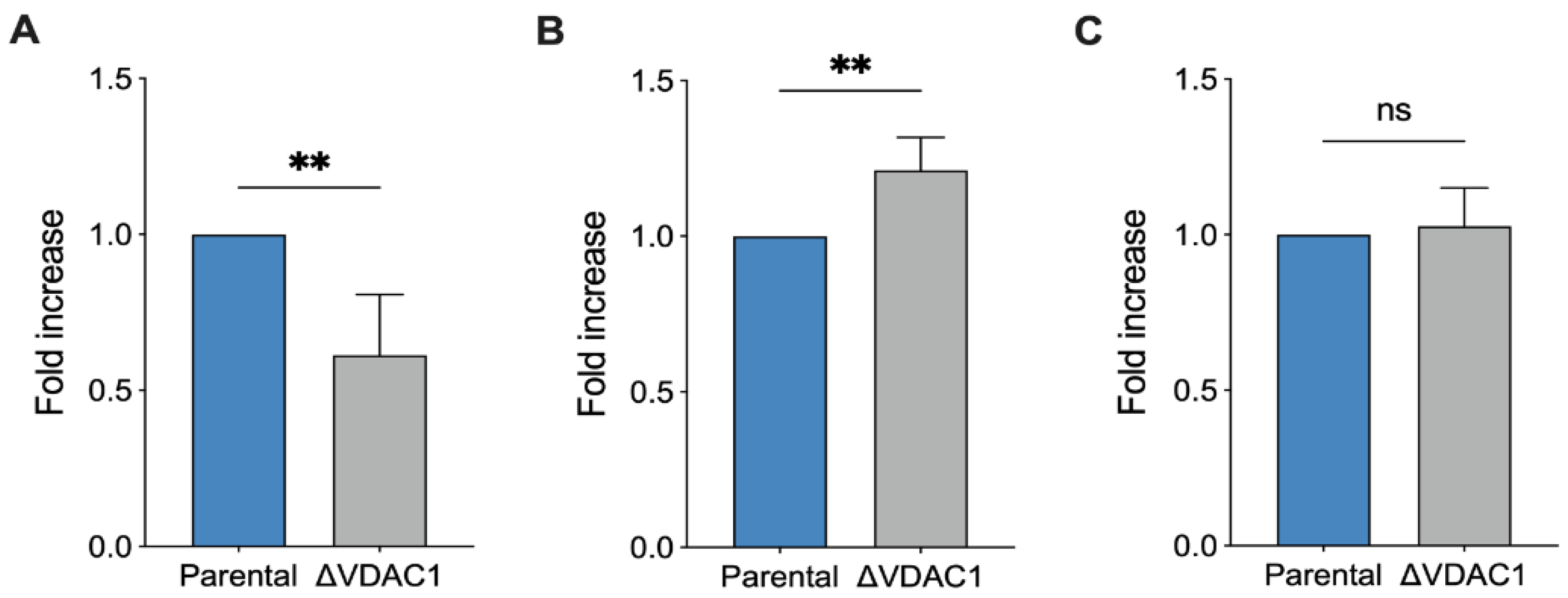 Ijms 24 03687 g006 Ijms 24 03687 g006