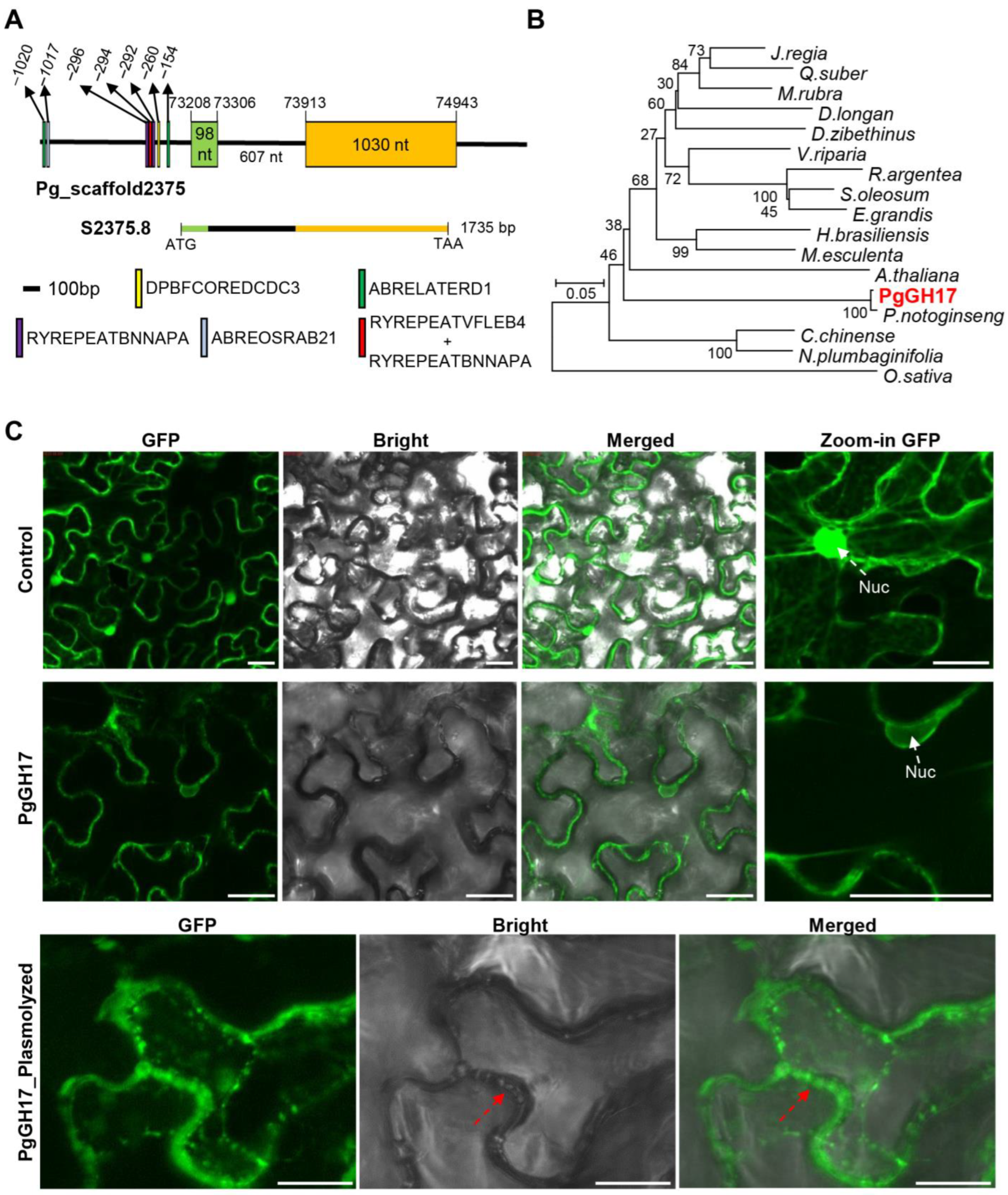 Ijms 24 03693 g005 550