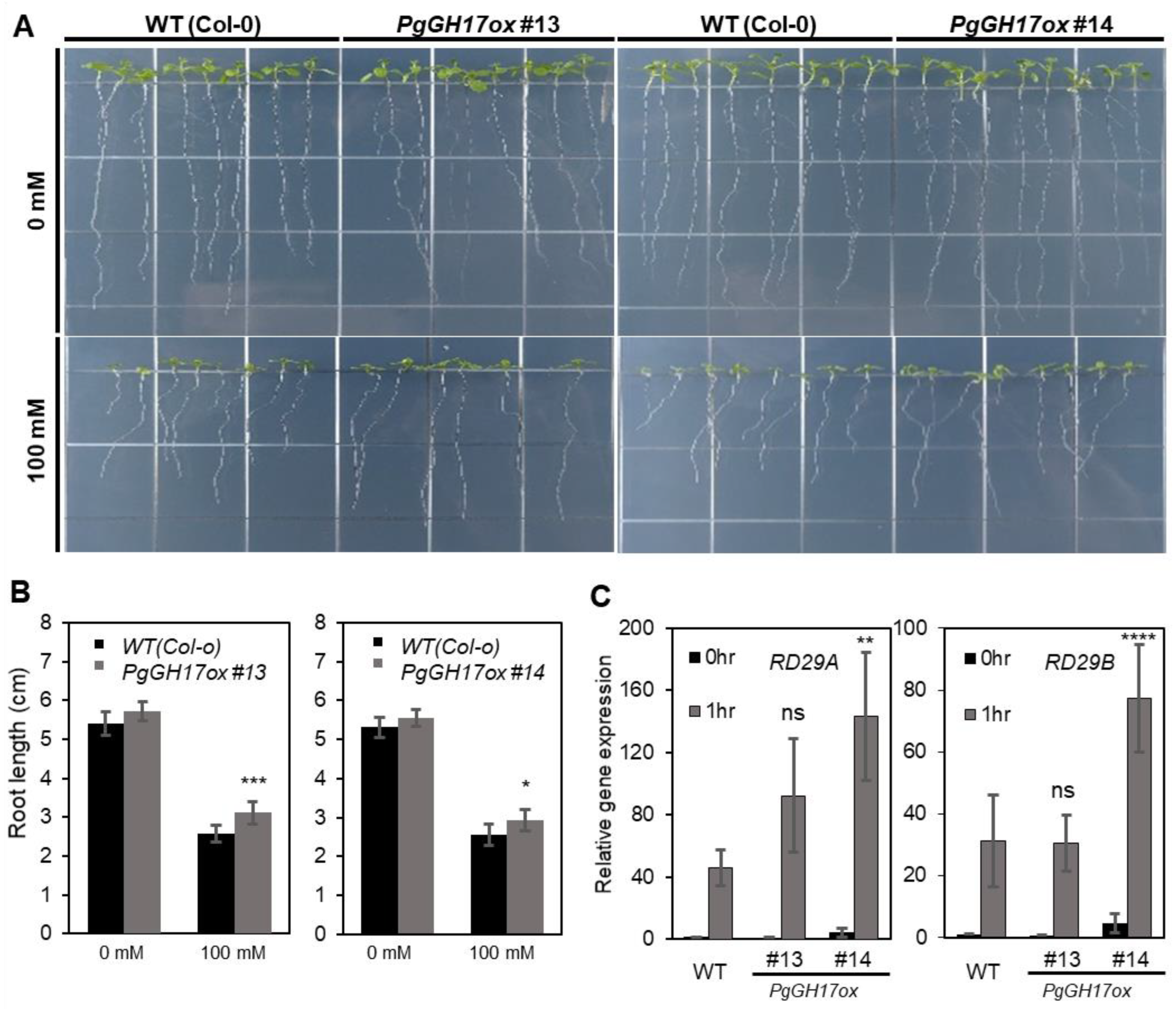 Ijms 24 03693 g006 550
