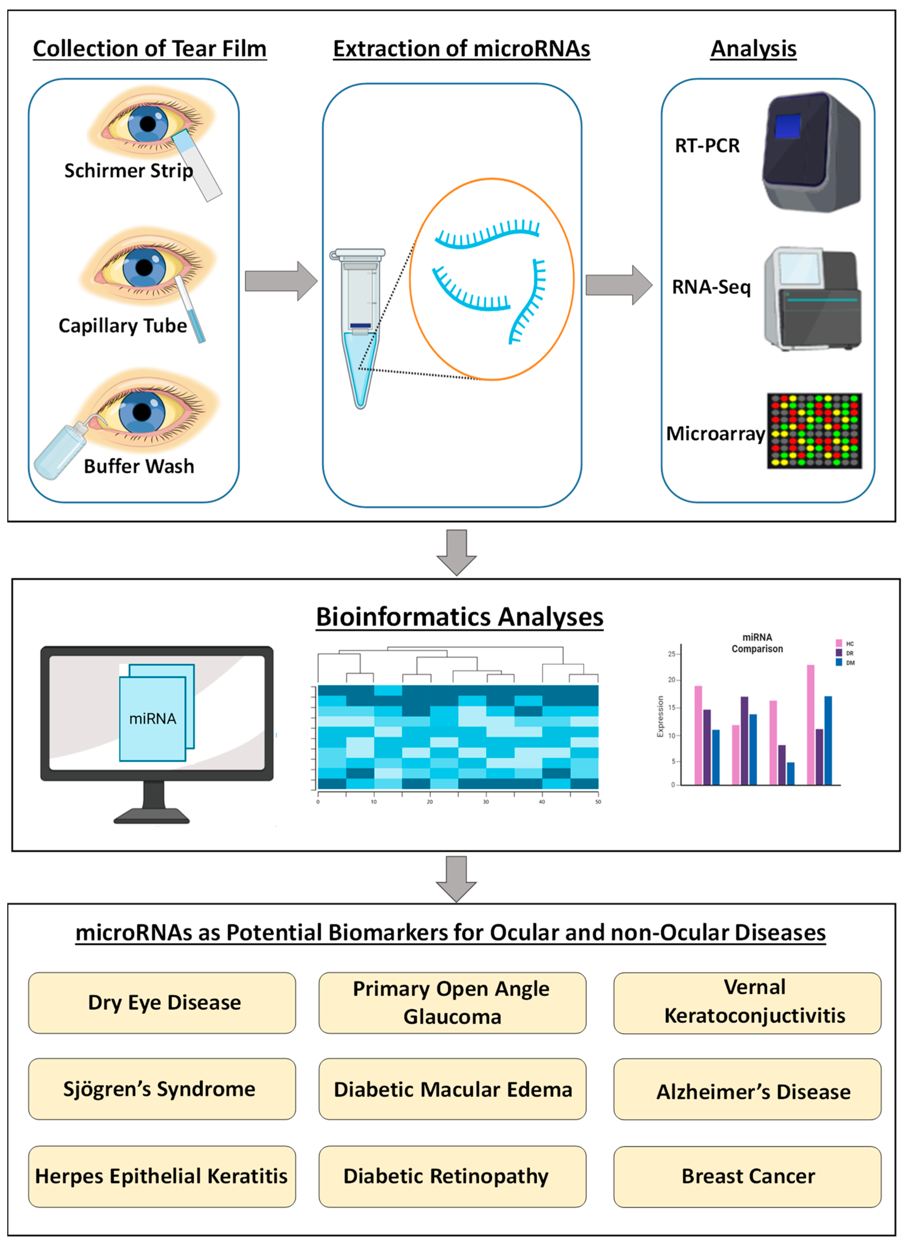 Ijms 24 03694 g001 Ijms 24 03694 g001