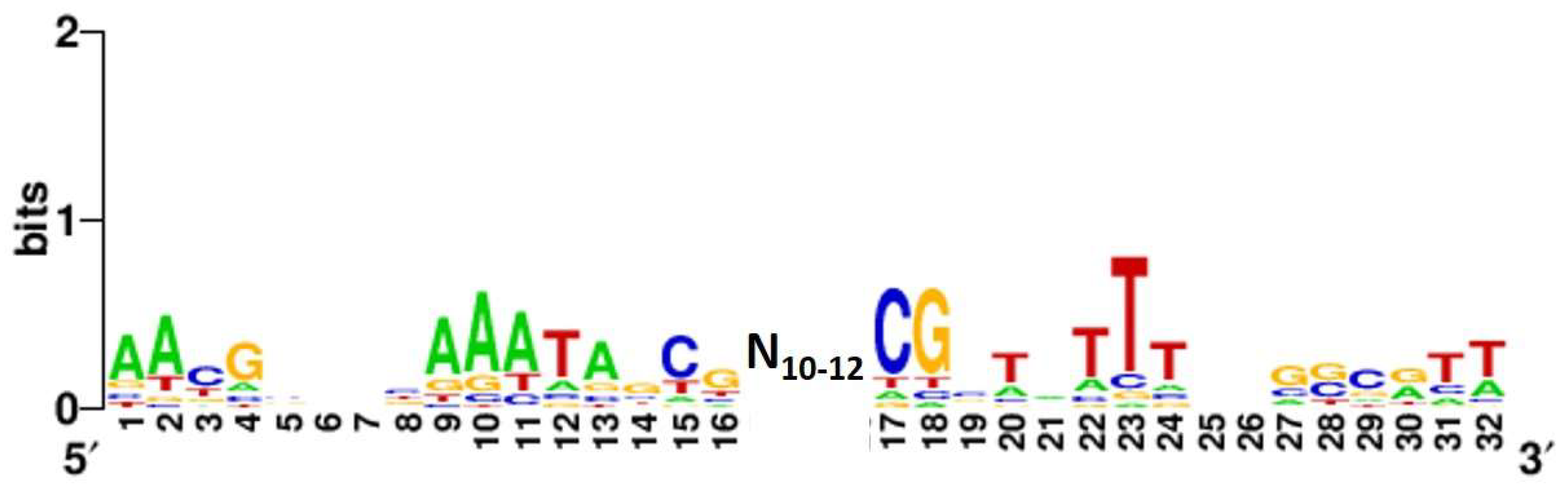 Ijms 24 03696 g002 Ijms 24 03696 g002