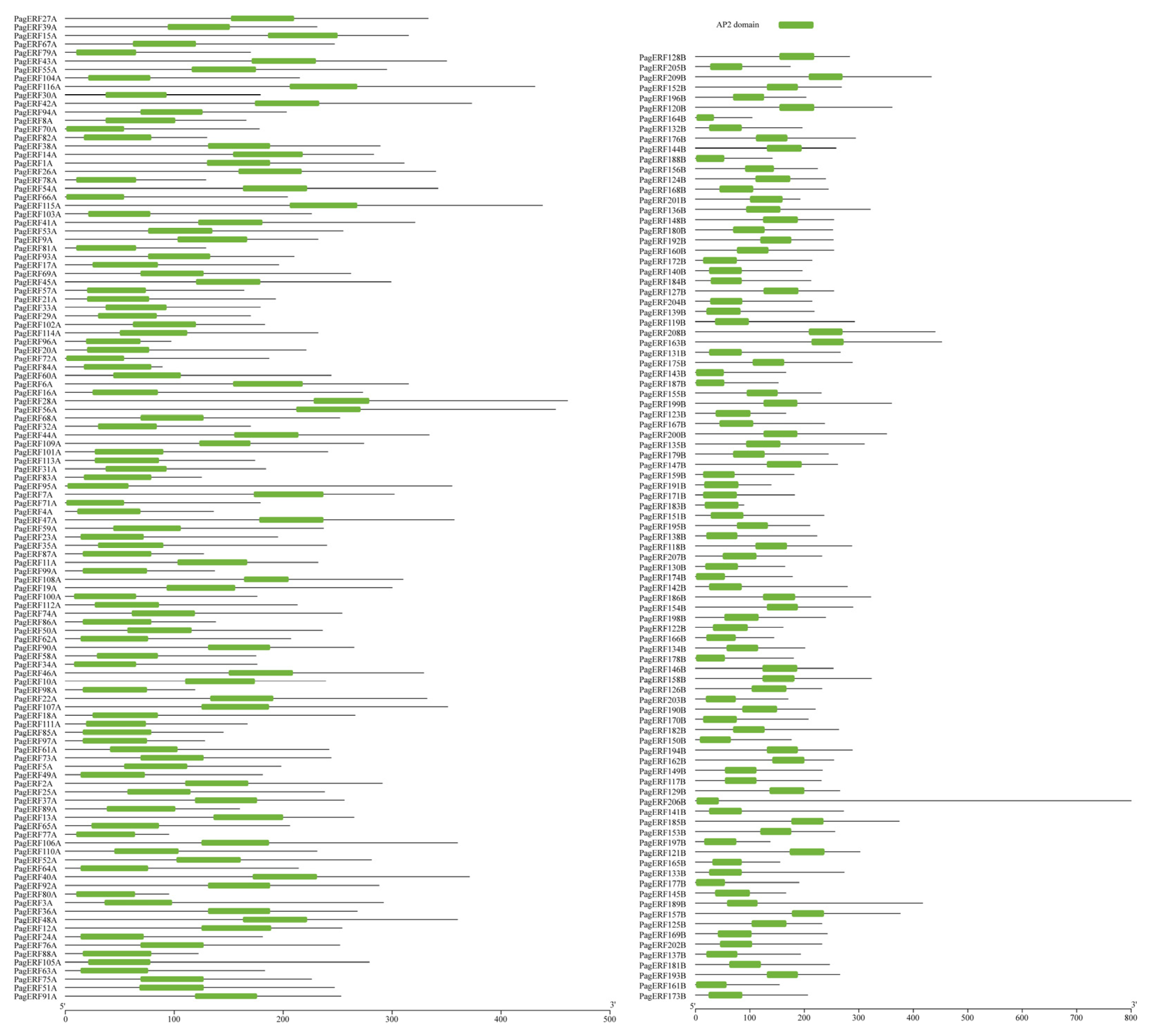 Ijms 24 03697 g001 Ijms 24 03697 g001