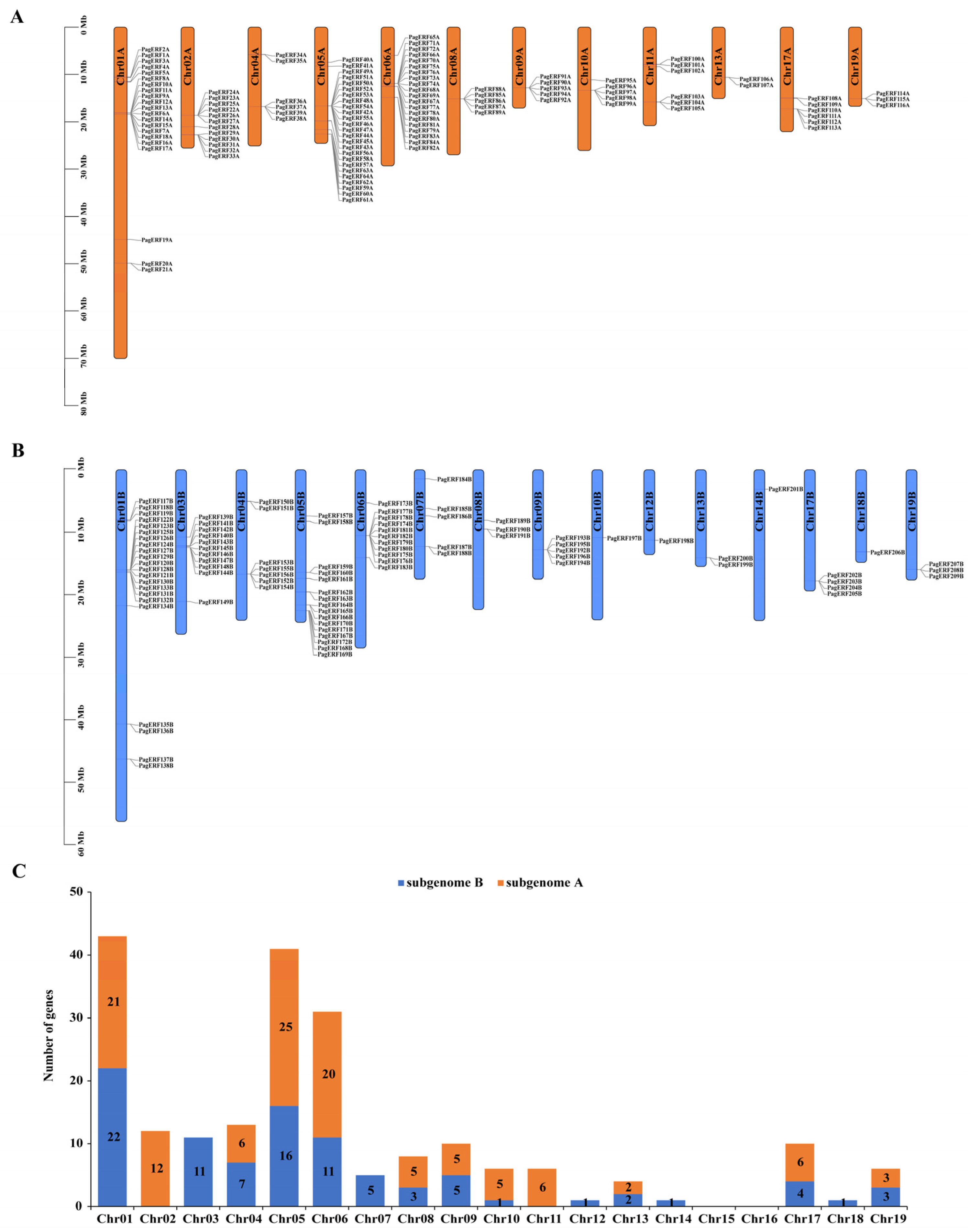Ijms 24 03697 g002 Ijms 24 03697 g002