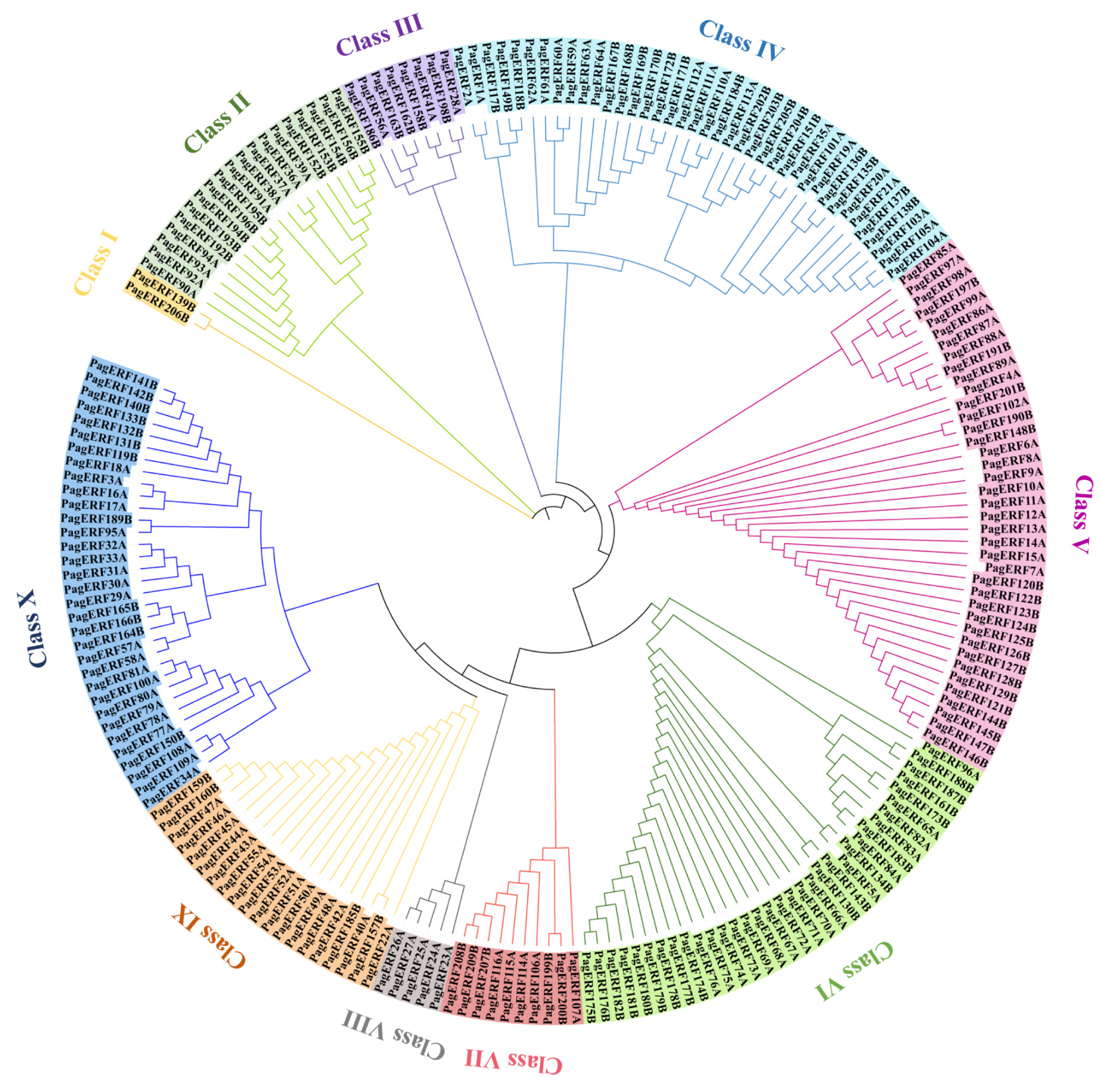 Ijms 24 03697 g003 Ijms 24 03697 g003