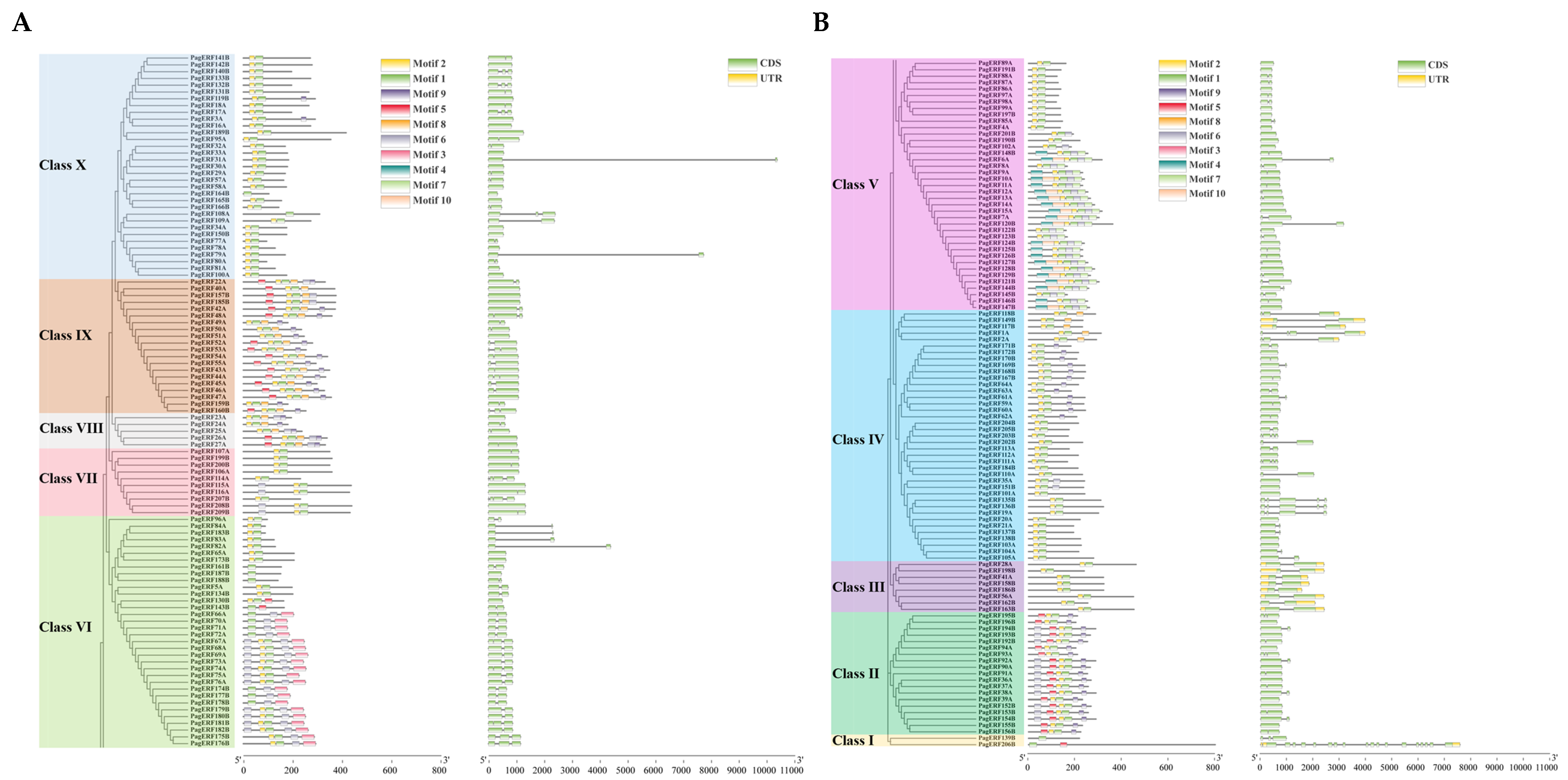 Ijms 24 03697 g005 Ijms 24 03697 g005