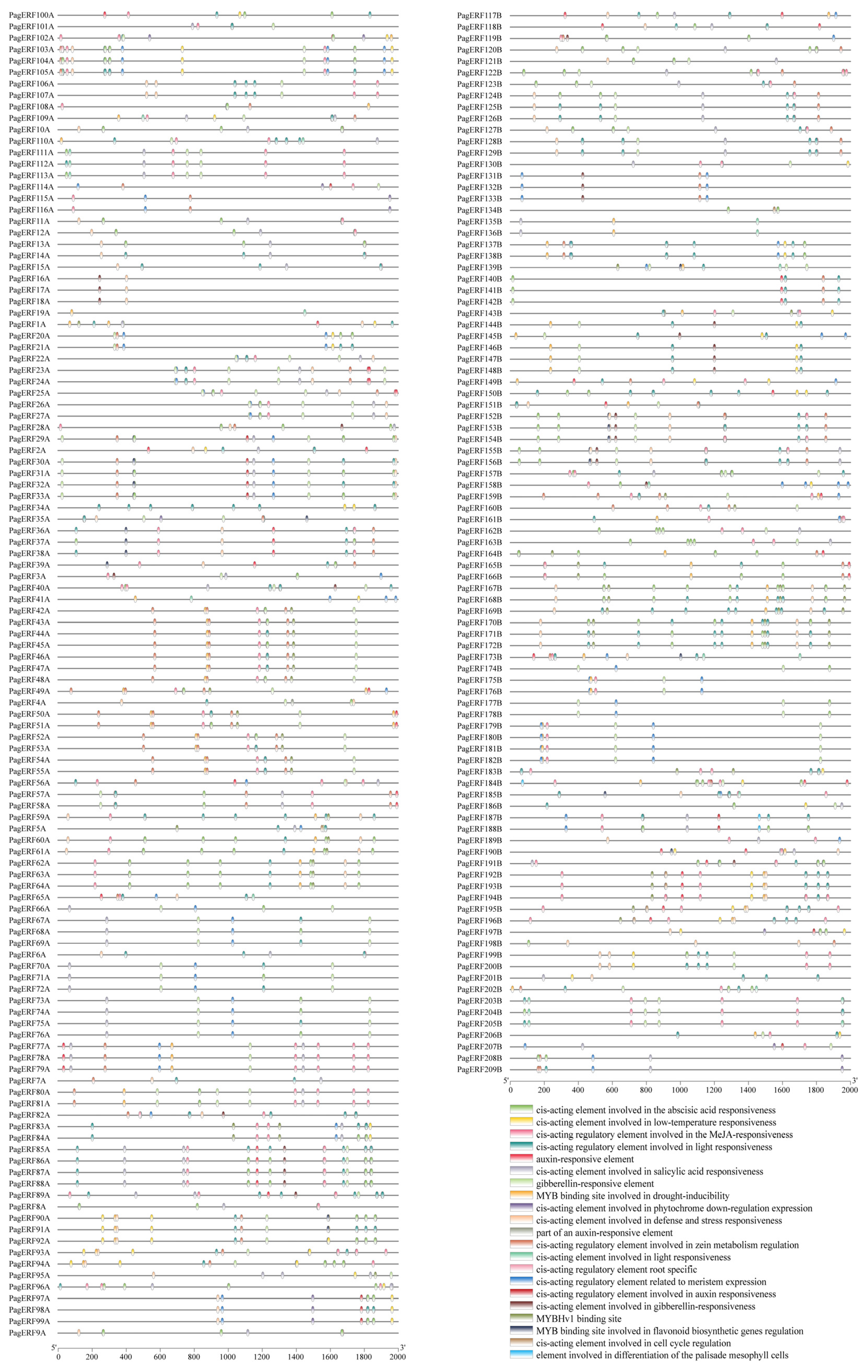 Ijms 24 03697 g006 Ijms 24 03697 g006