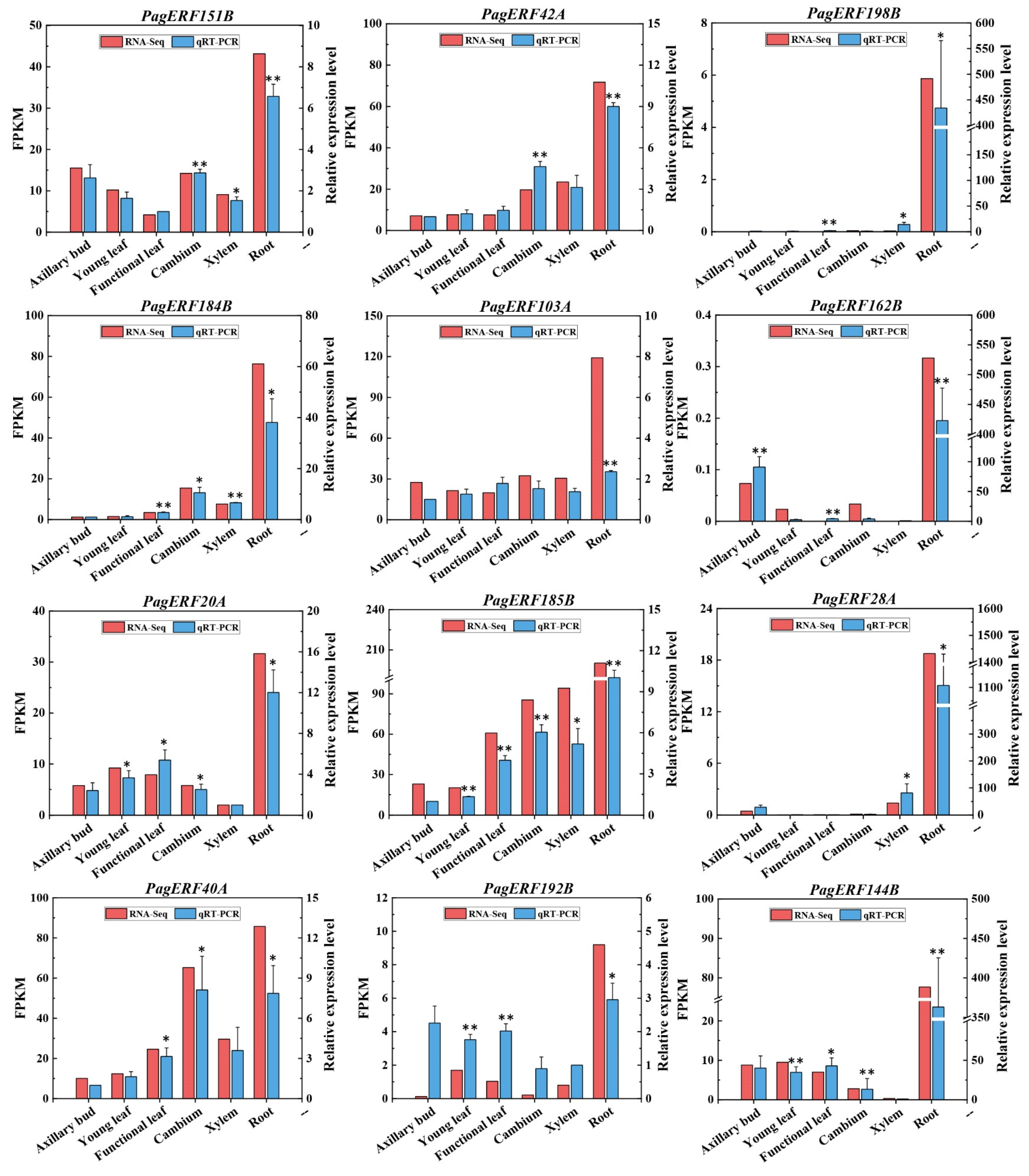Ijms 24 03697 g008 Ijms 24 03697 g008