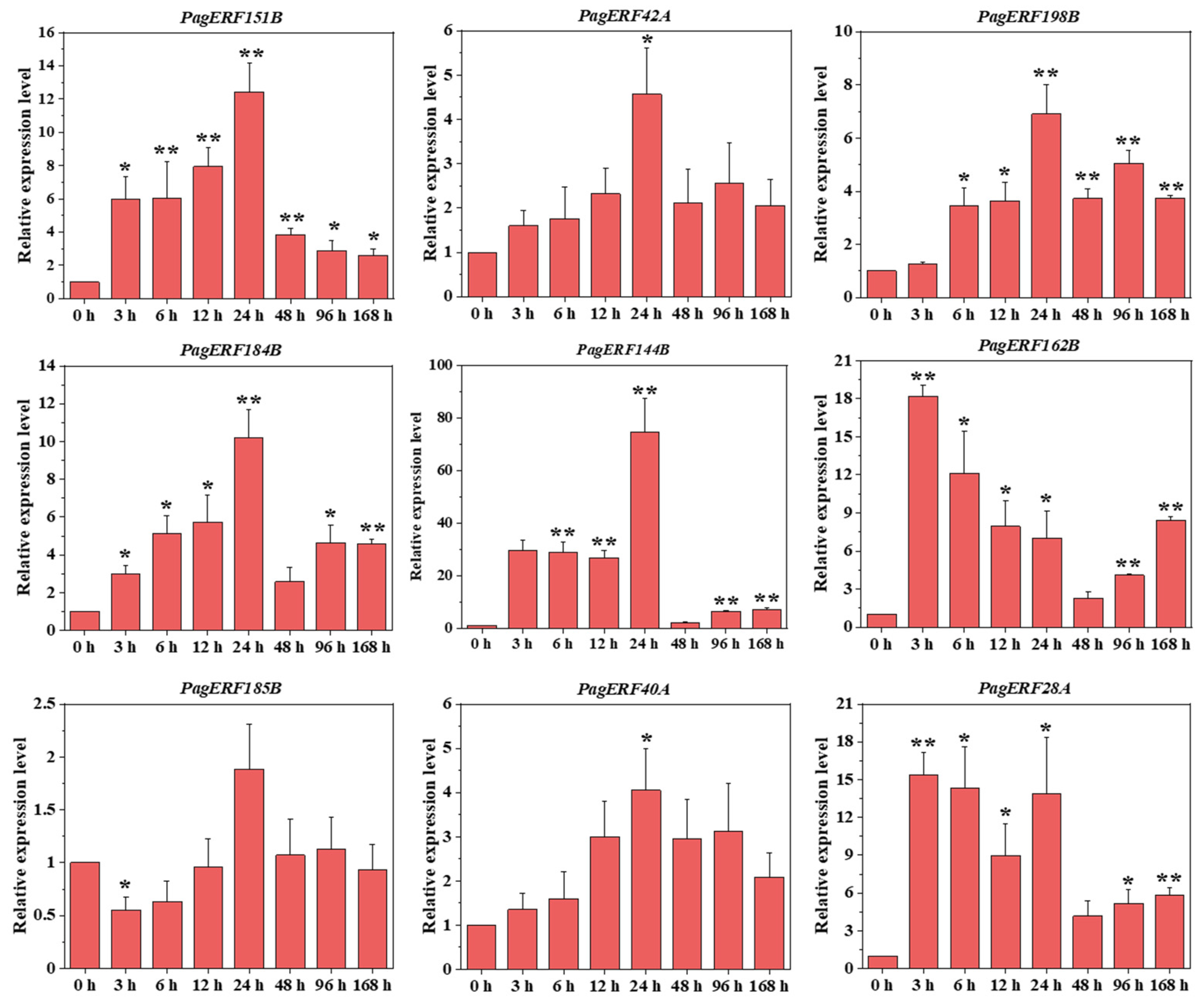 Ijms 24 03697 g009 Ijms 24 03697 g009