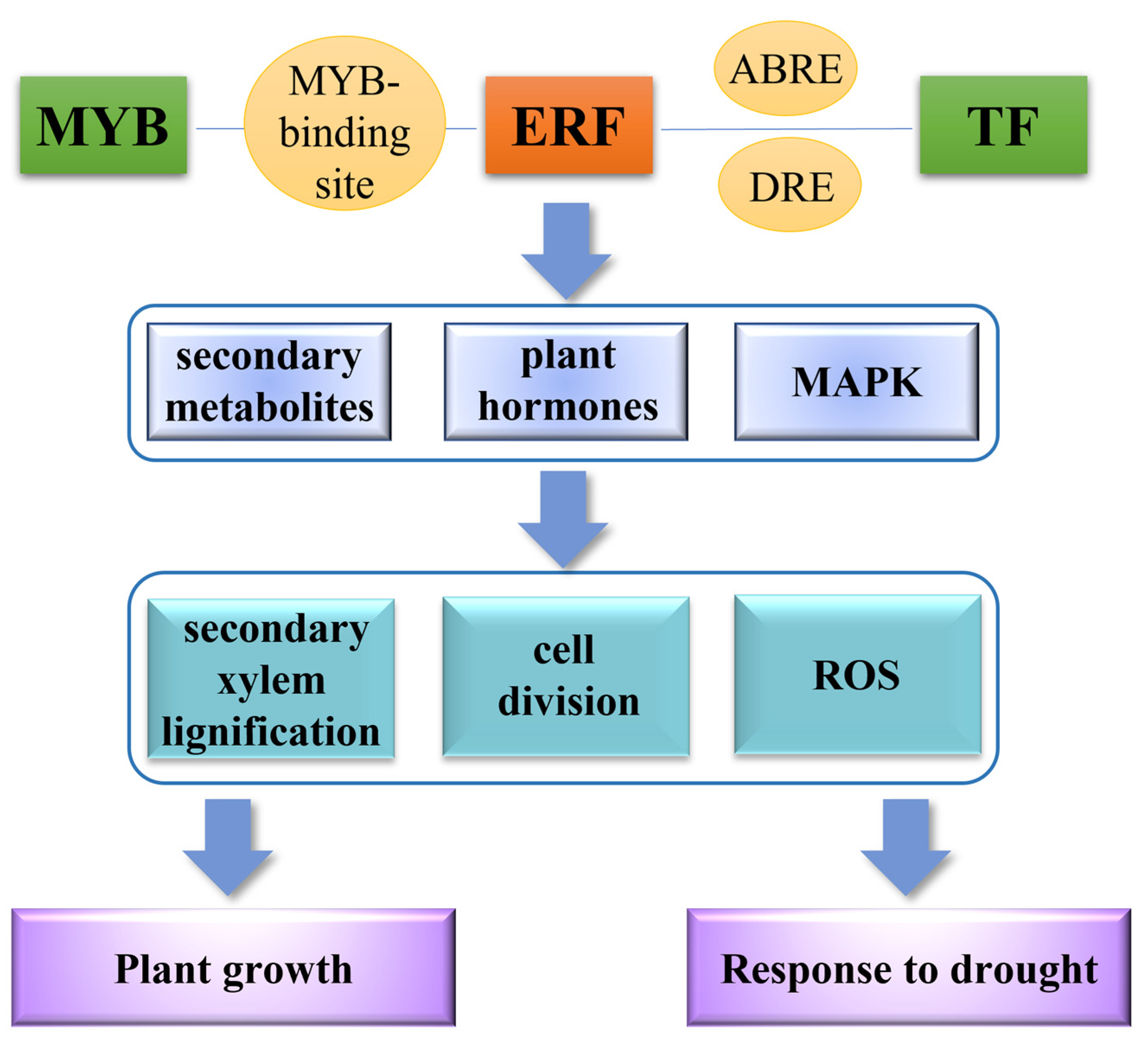 Ijms 24 03697 g010 Ijms 24 03697 g010