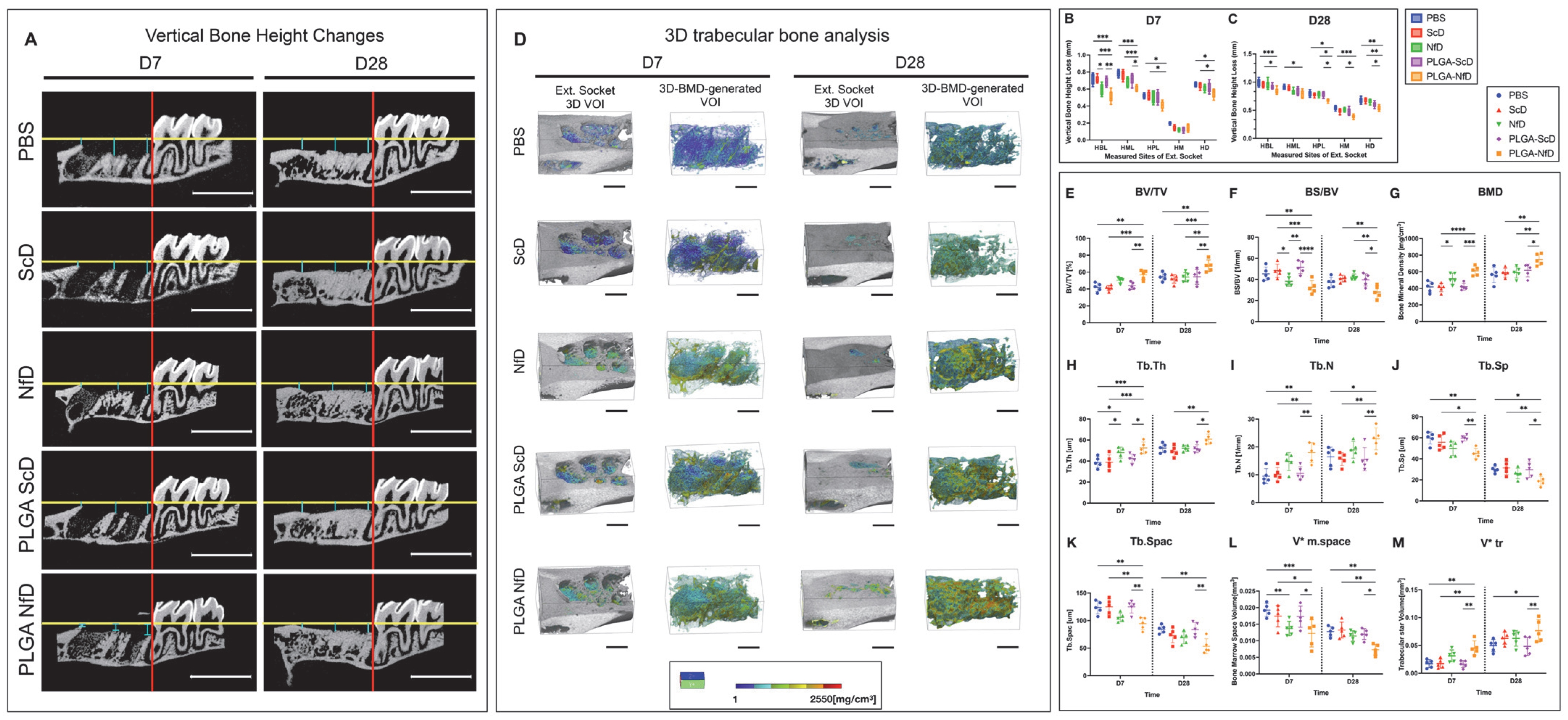 Ijms 24 03699 g001 550