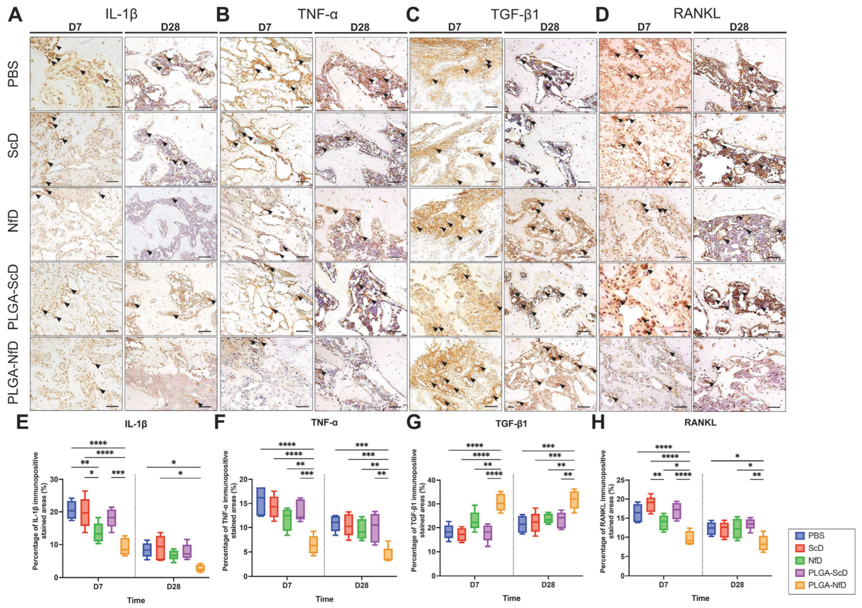 Ijms 24 03699 g004 550