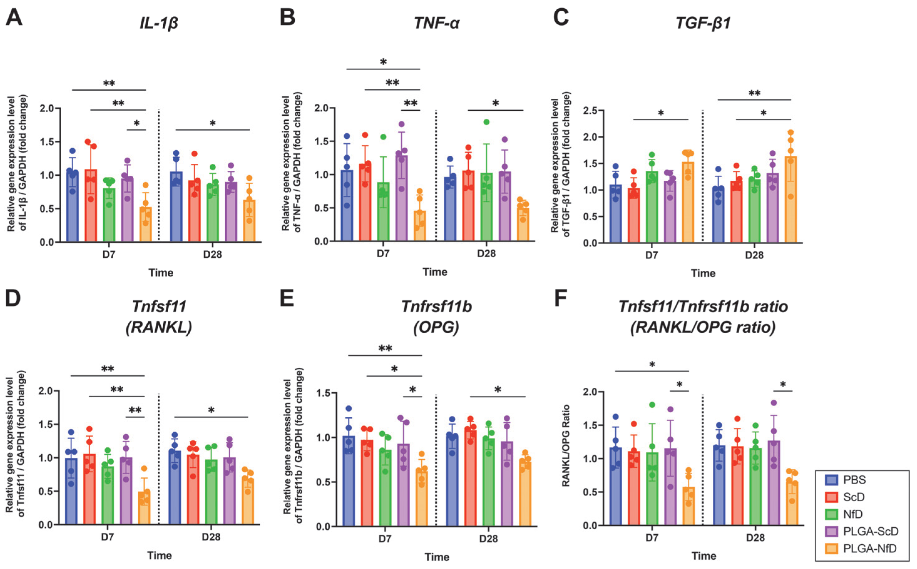 Ijms 24 03699 g005 550
