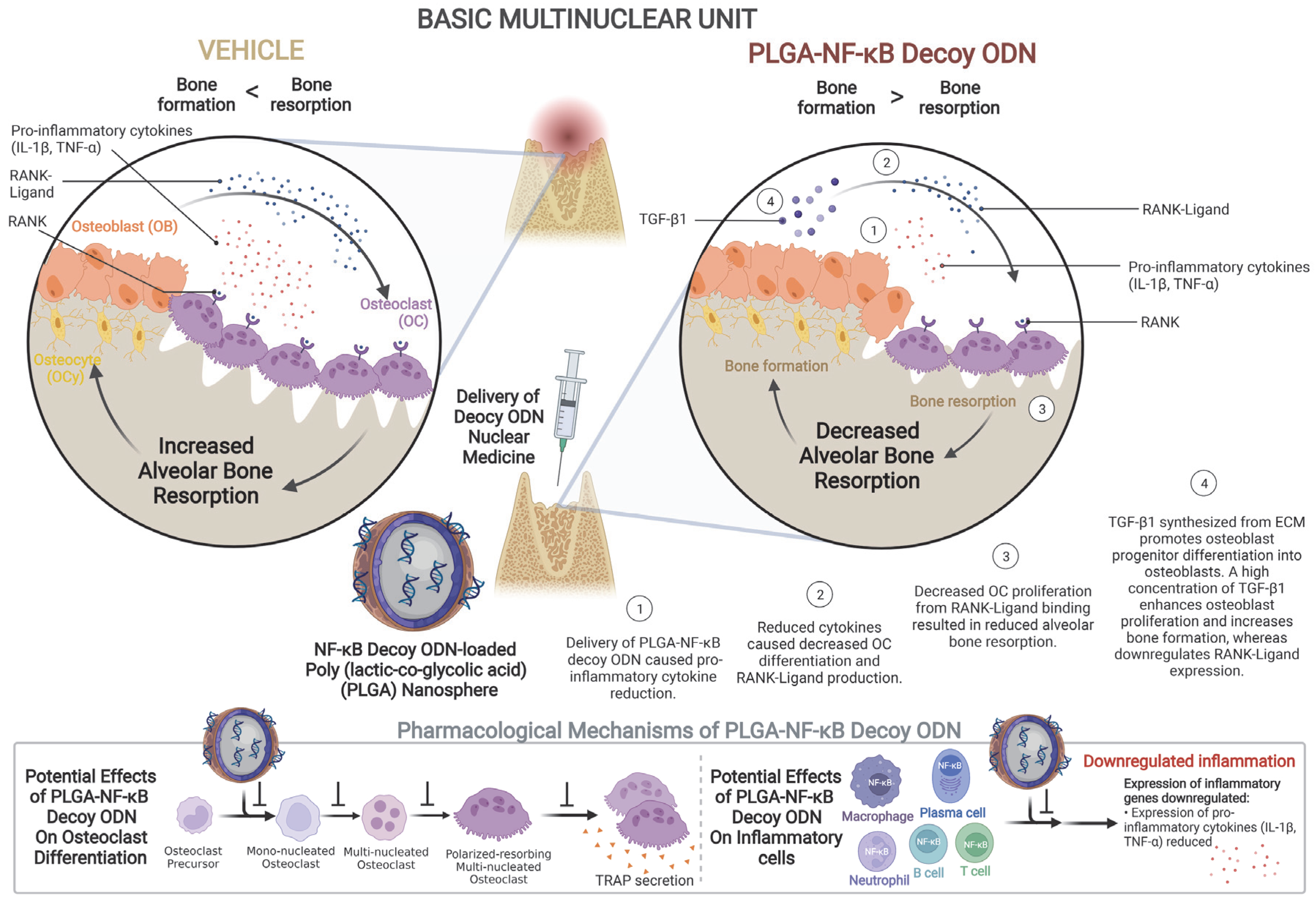 Ijms 24 03699 g006 550
